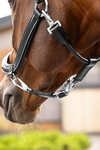 LeMieux Leather Grooming Headcollar