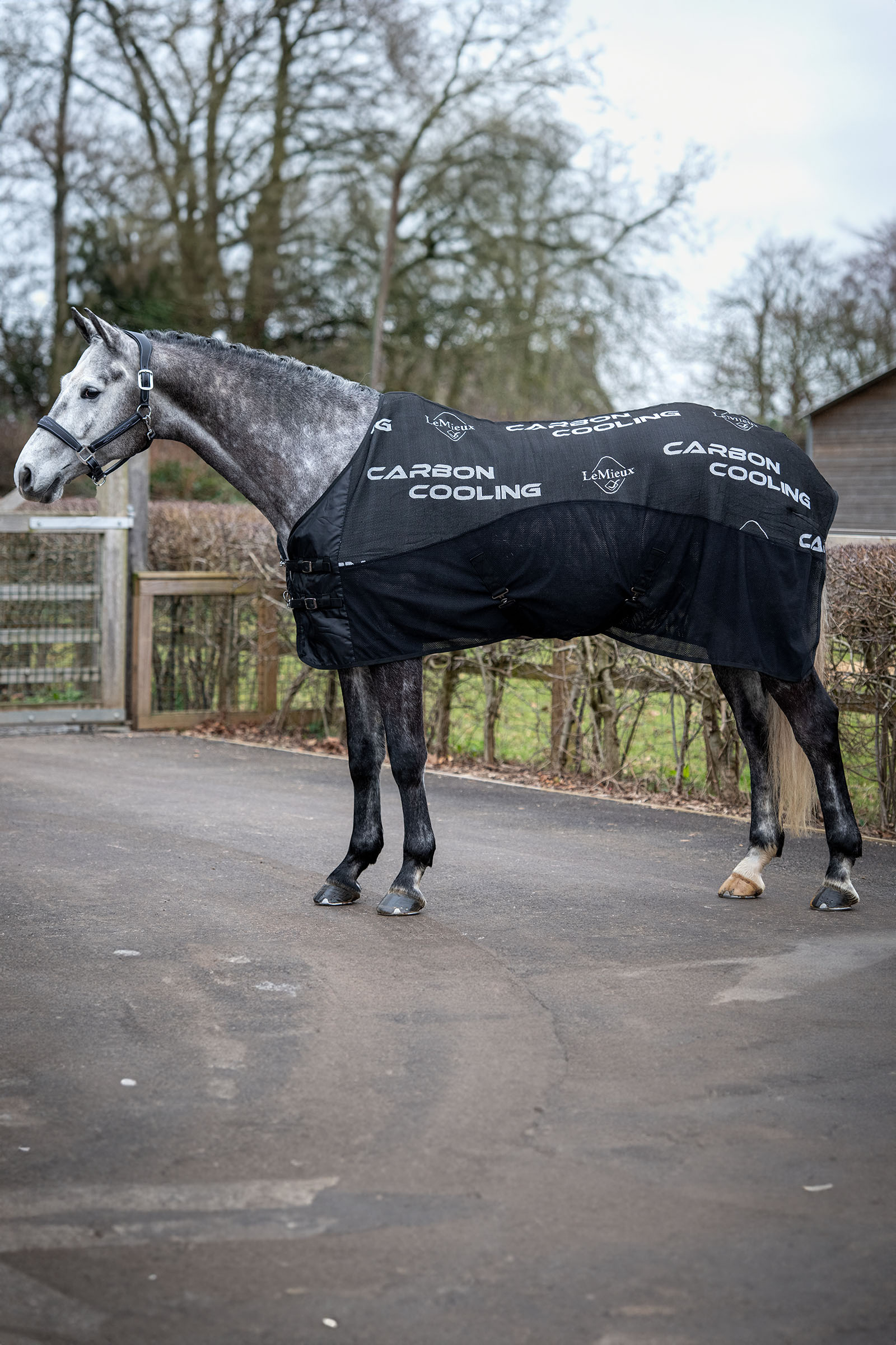 LeMieux Carbon Cooler Rug