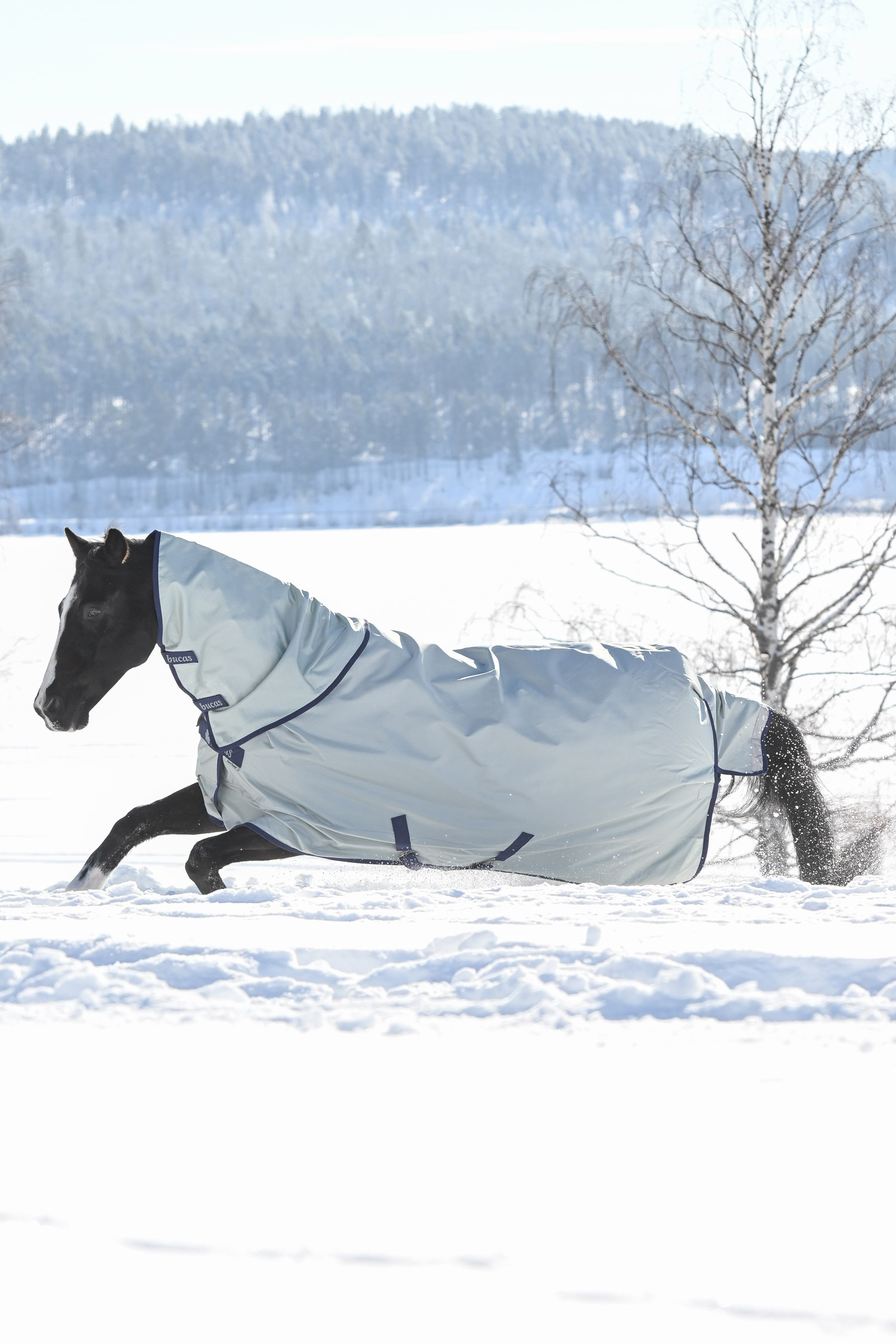 Bucas Power Extra Turnout Rug With Cooling Function, 300g