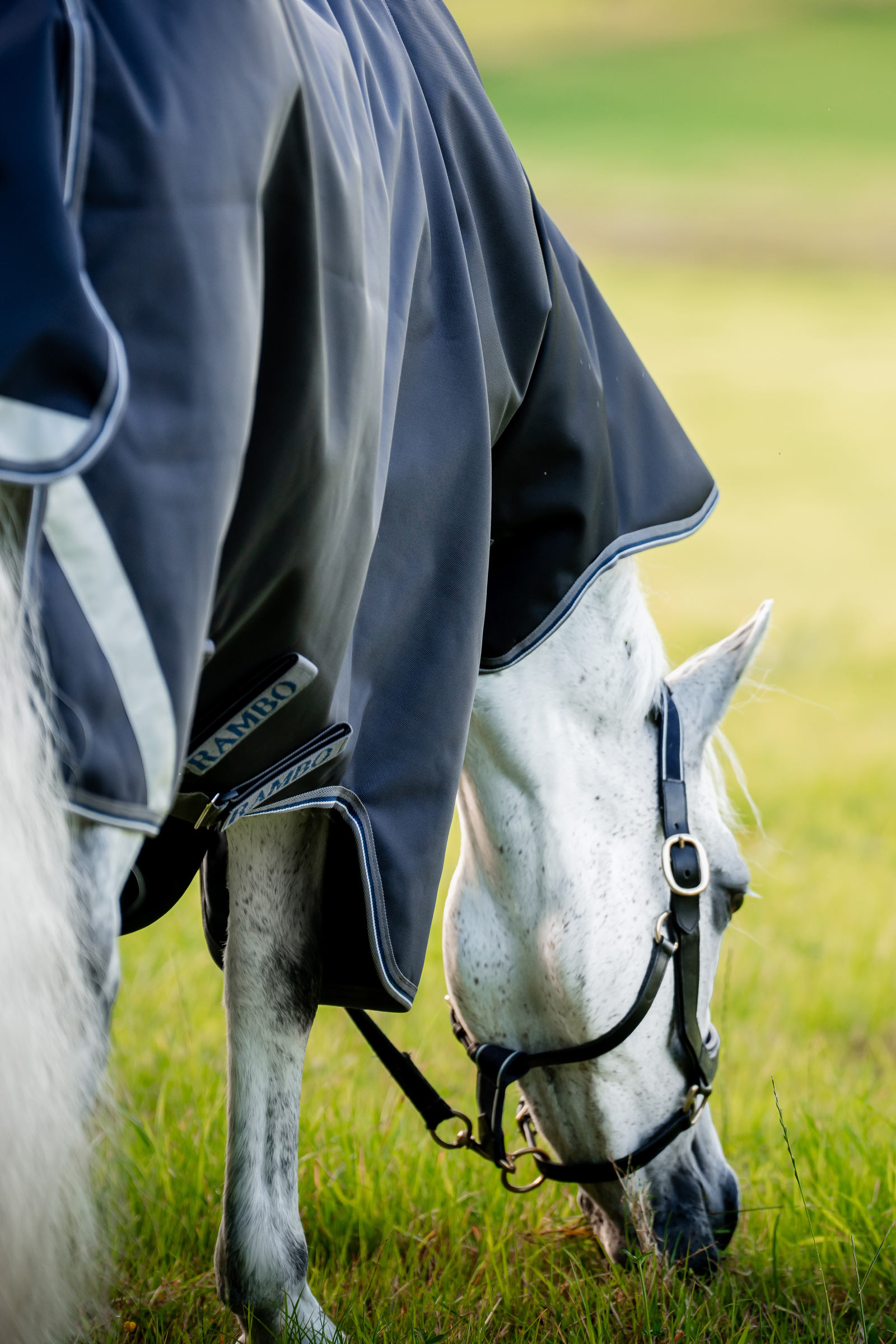 Horseware Rambo 1680D Plus Vario Layer Turnout Rug, 250 g