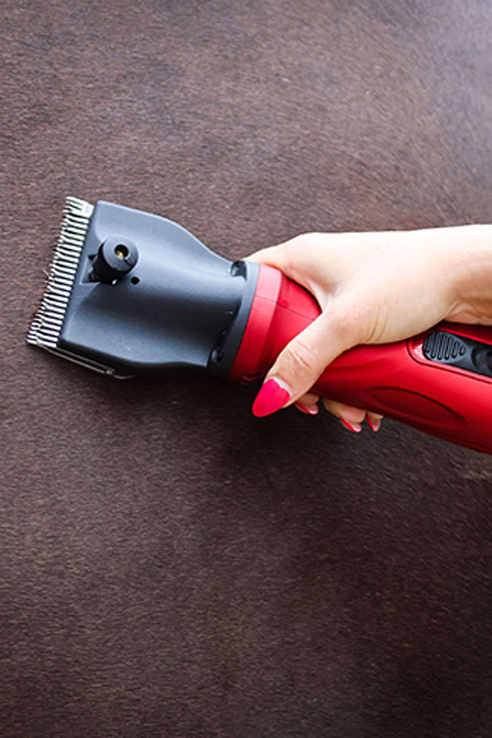 Liveryman Phoenix EU Clipper, 2.4 mm