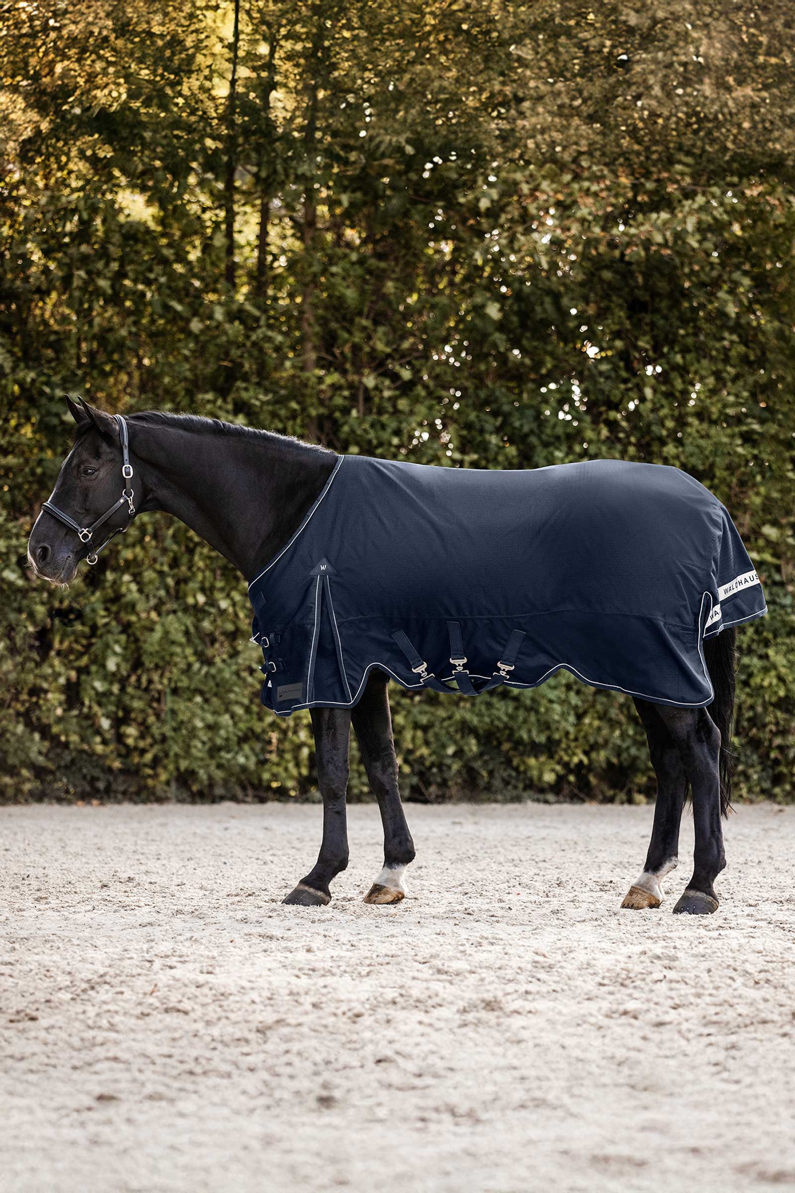 Night Blue Waldhausen Scandic Turnout Rug, 200 g