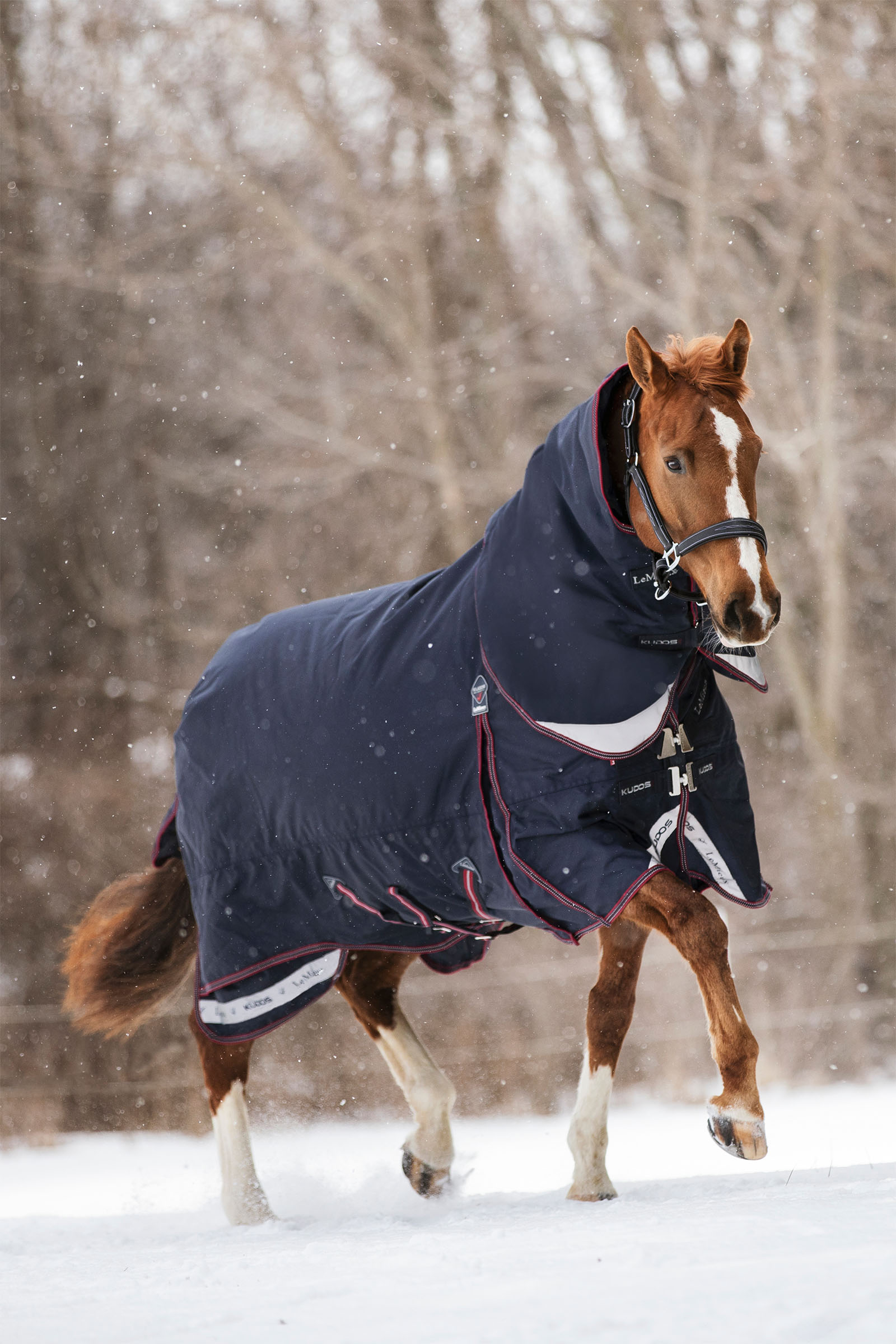 LeMieux Kudos Turnout Rug 350g