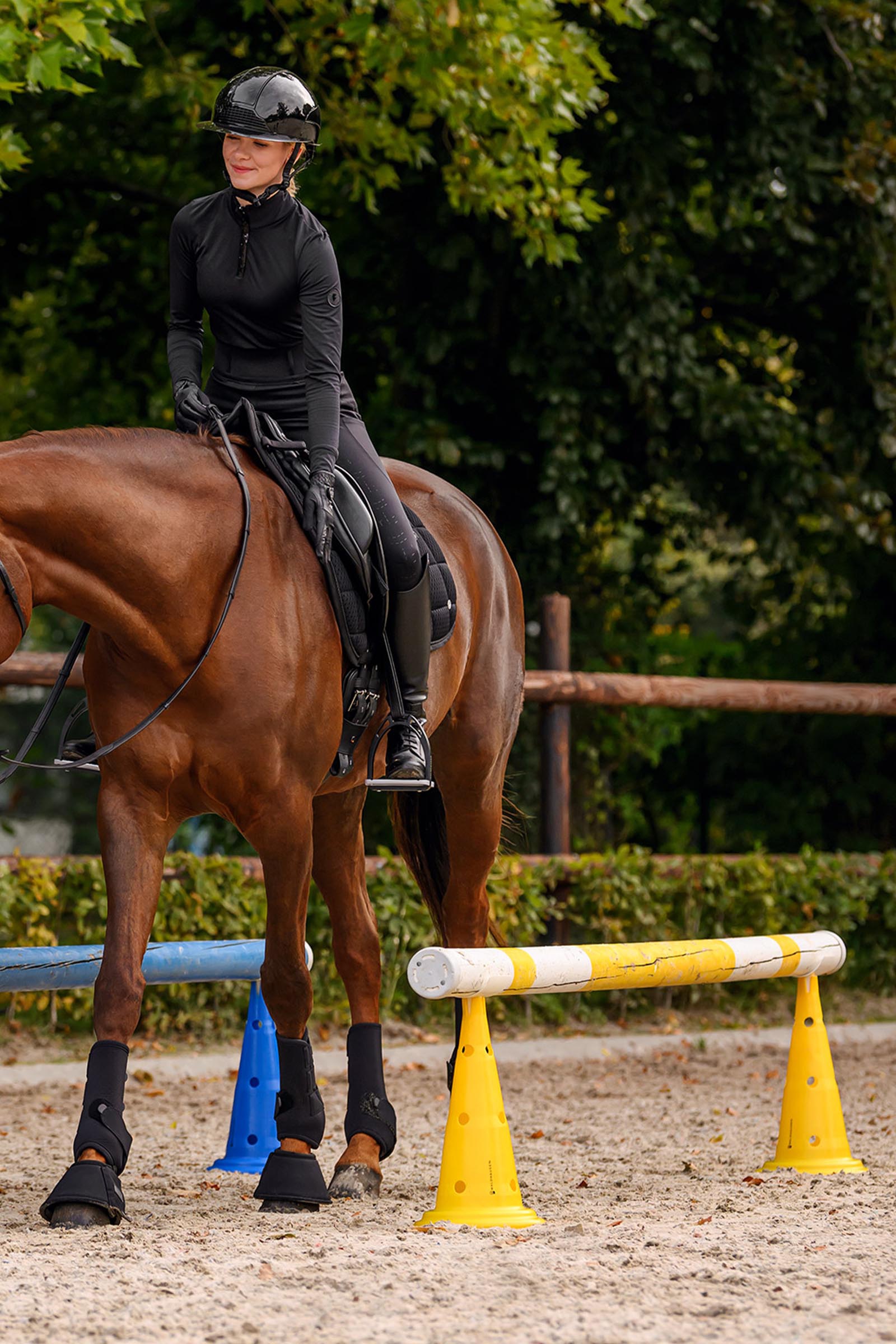 Waldhausen Pole Plastic Holder for Cones