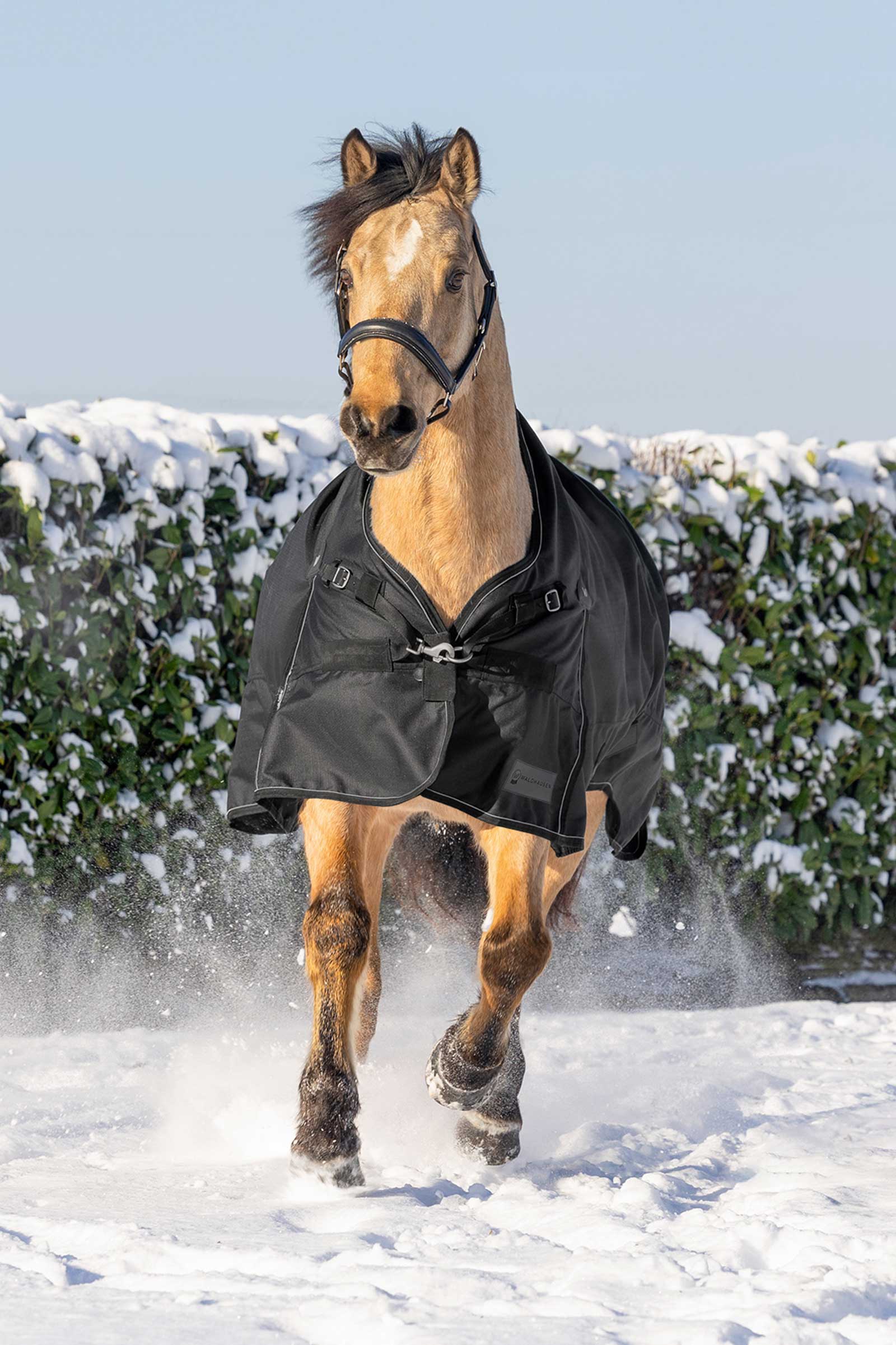 Waldhausen Scandic Turnout Rug With High Neck, 200g