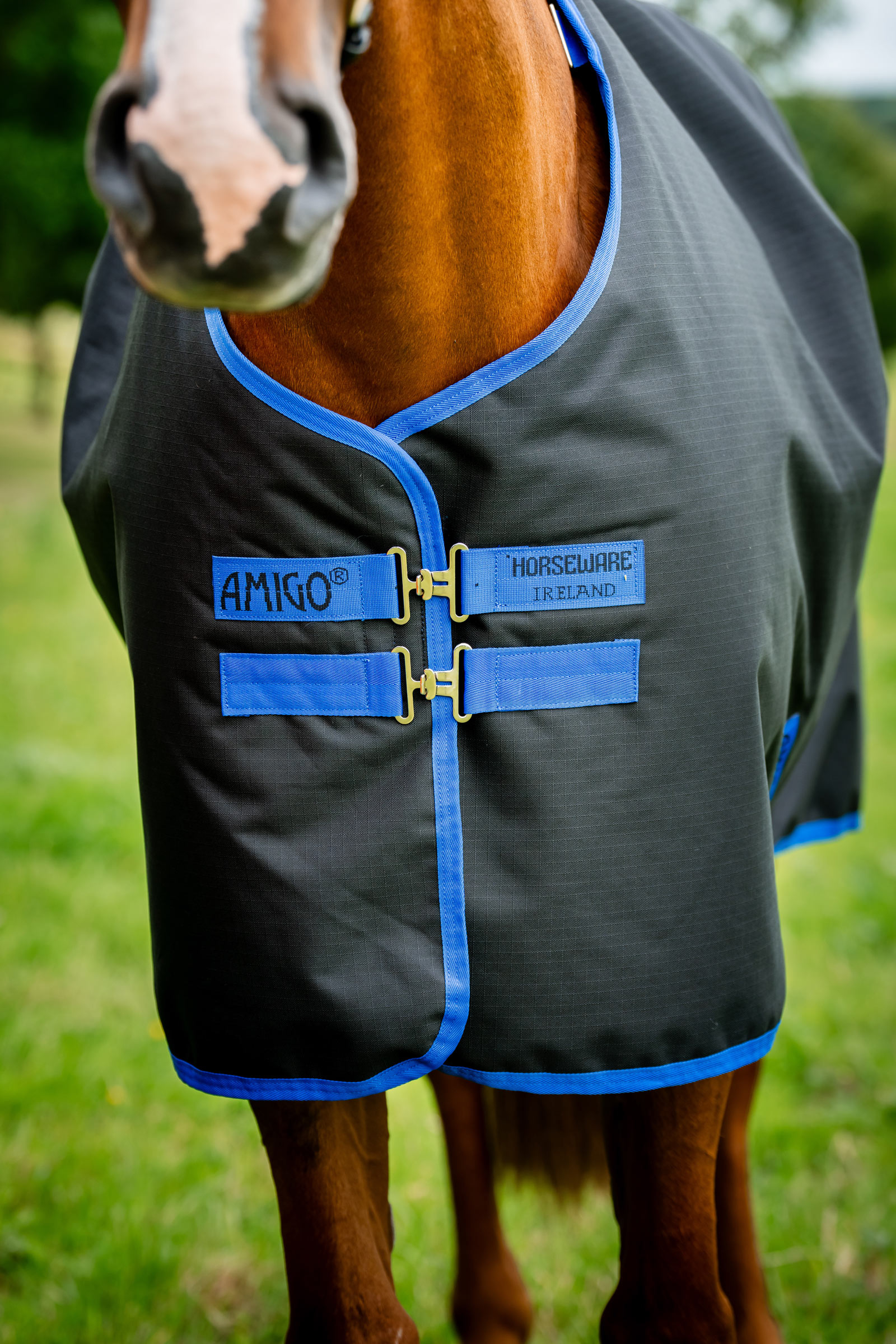 Horseware Amigo Ripstop 900D Plus Turnout Rug, 0 g