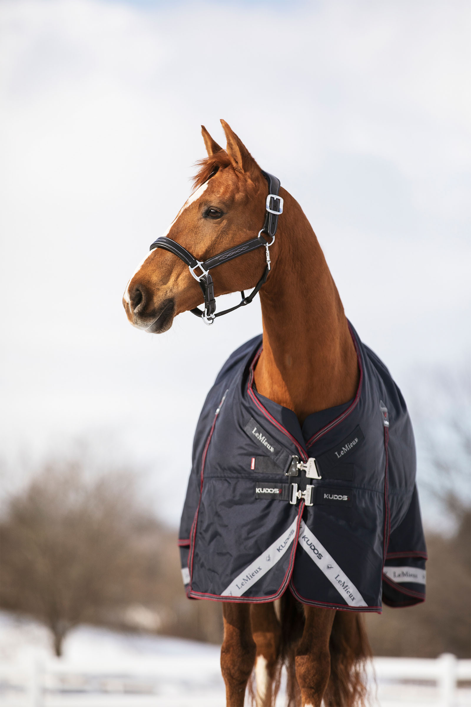 LeMieux Kudos Turnout Rug 350g