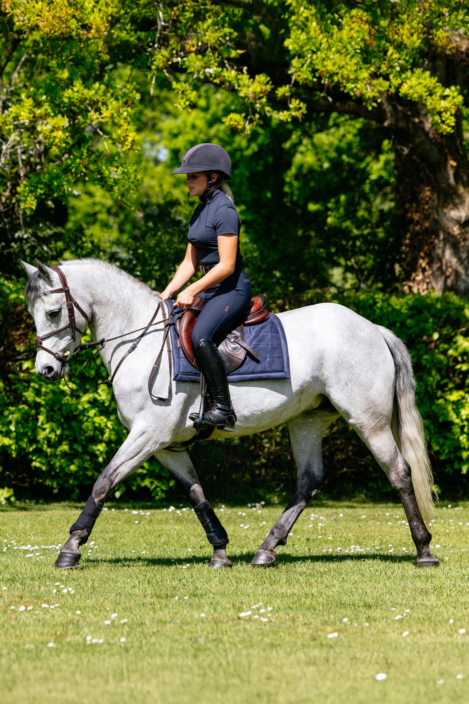 LeMieux Pillow Cushioned All Purpose Saddle Pad