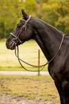 Trust Equestrian Hunter Bridle Kentucky