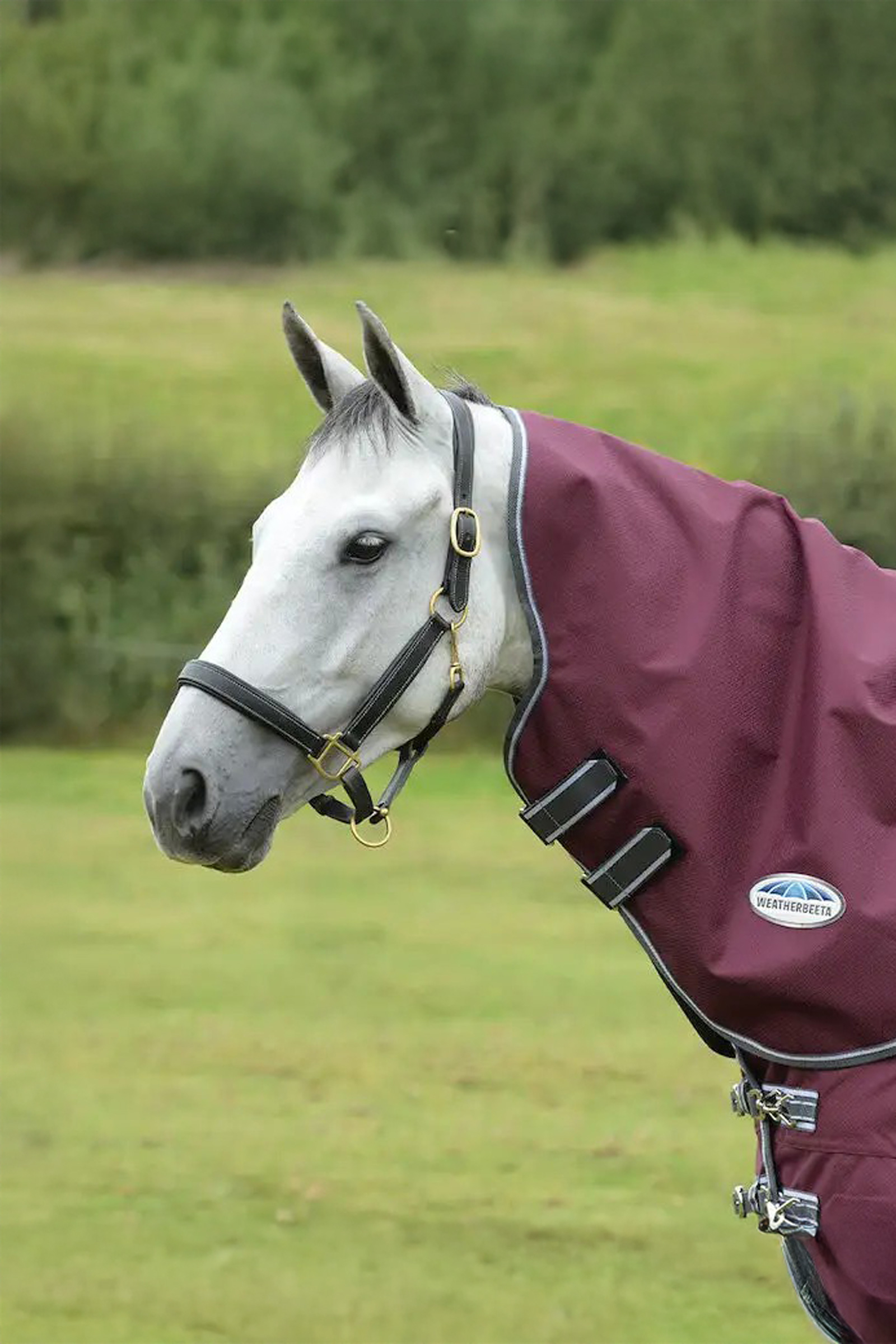 Weatherbeeta Comfitec Plus Dynamic II  Medium/Lite Neck Piece, 100g