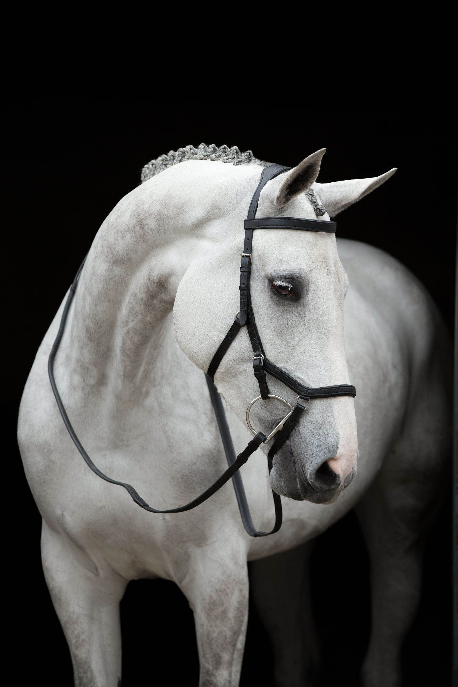 Black Horseware Rambo Micklem Competition Bridle