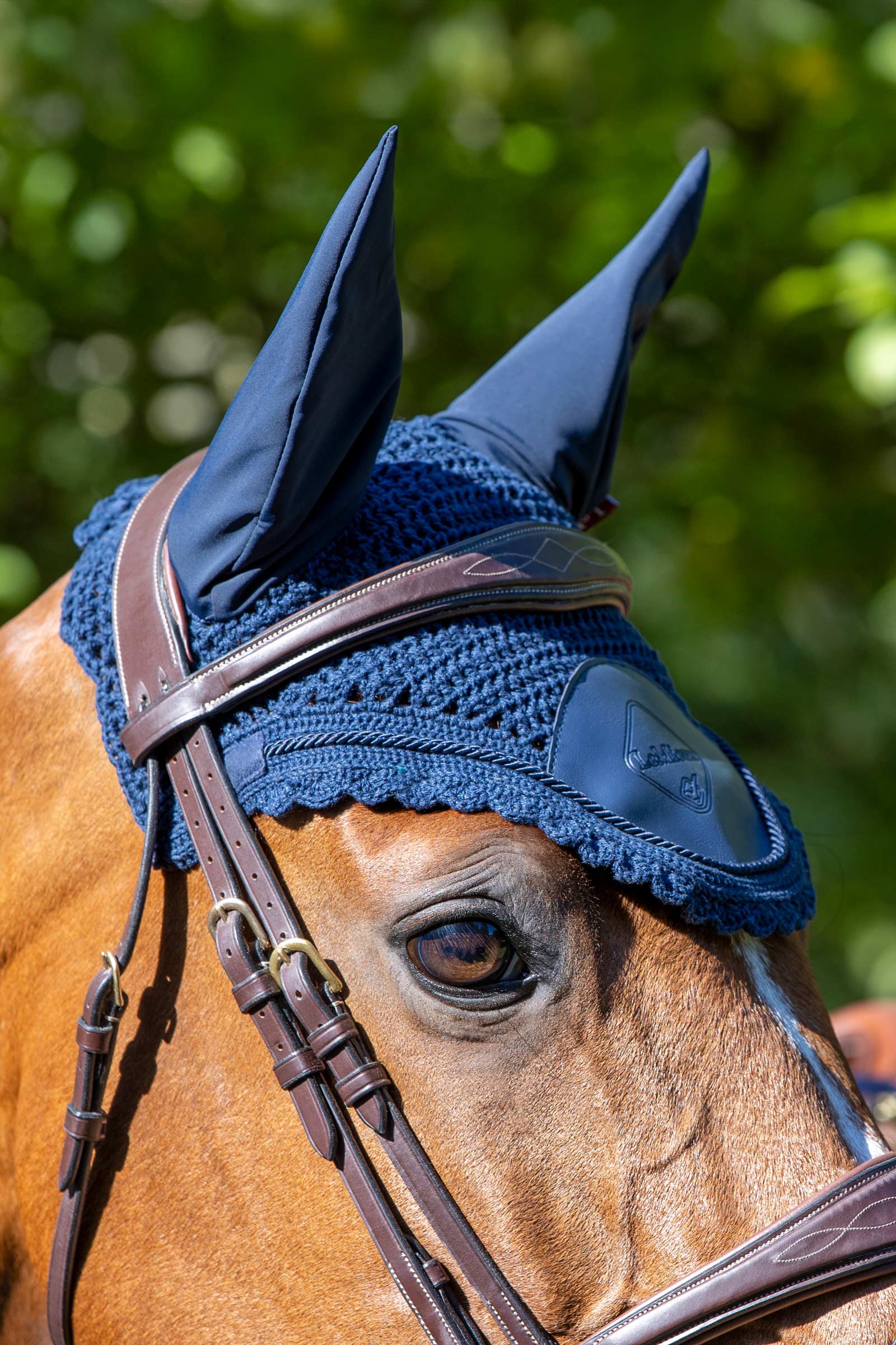 LeMieux Elite Ear Hood