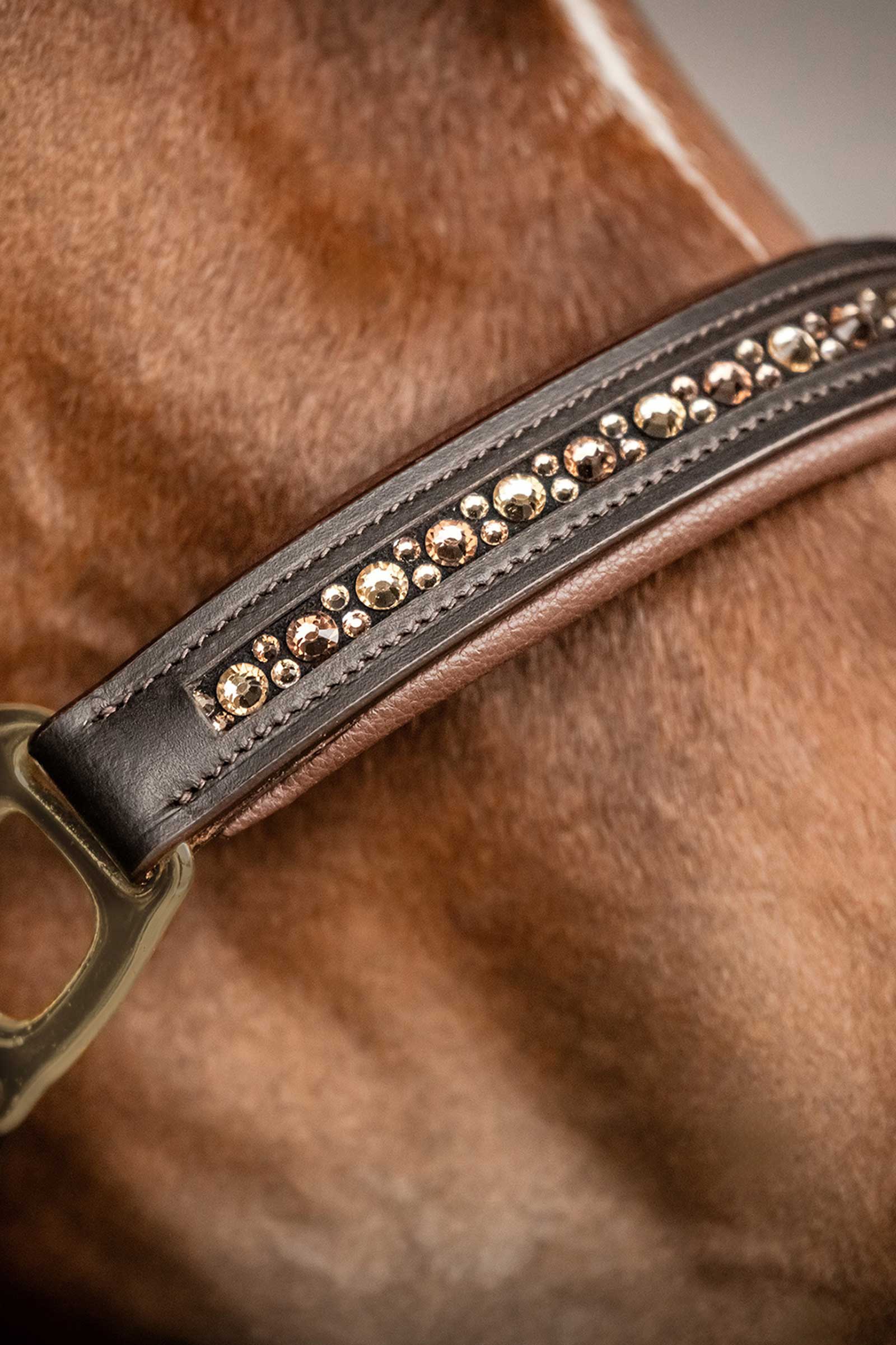 Waldhausen X-Line Leather halter Crystal