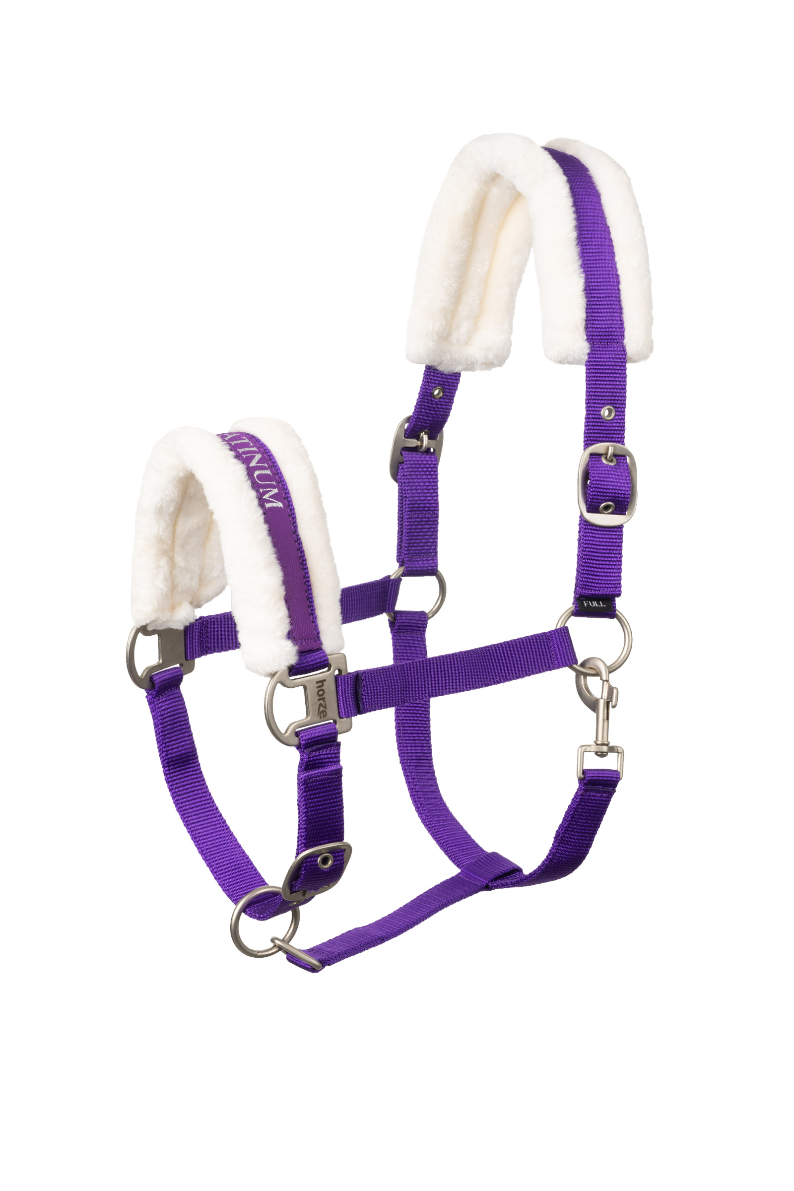 Purple Horze Howard Halter