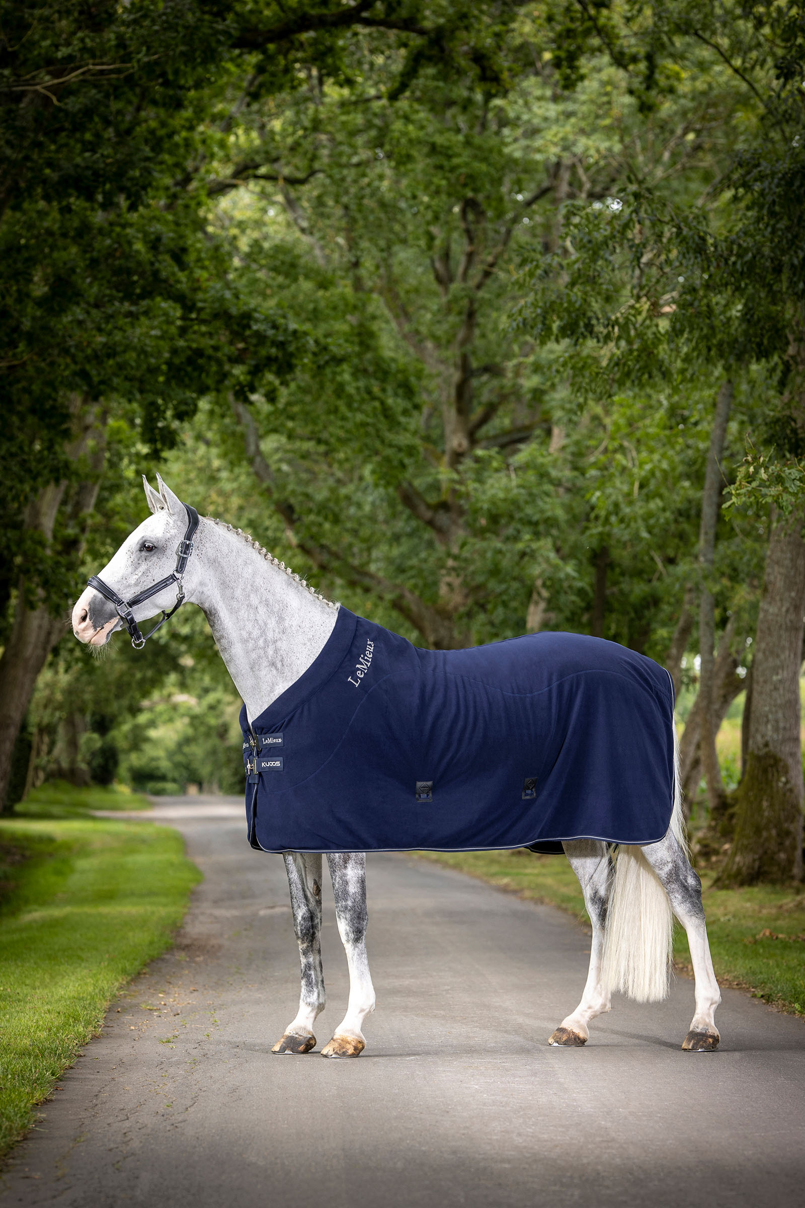 LeMieux Kudos Fleece Cooler Rug