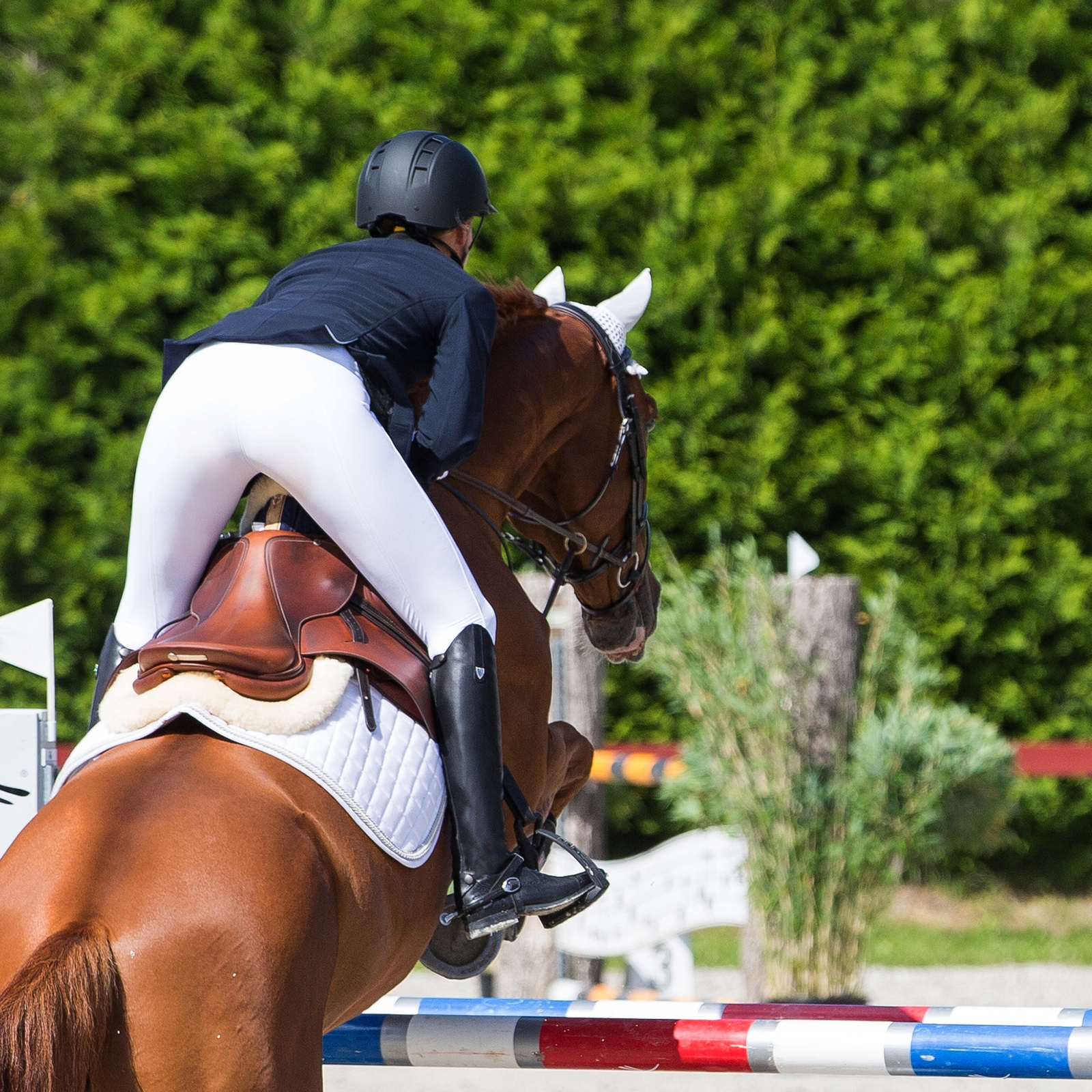 Horze Winslow Genuine Leather Tall Boots