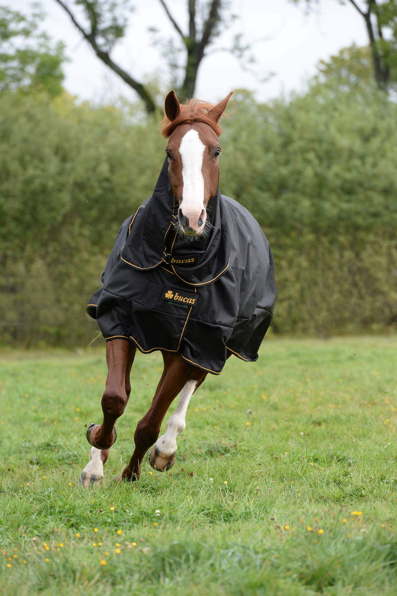 Bucas Irish Turnout Extra Pony Turnout Rug, 300g