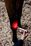 Horseware LED Red Light Therapy Wand
