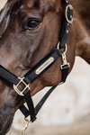 Kentucky Horsewear Velvet Halter