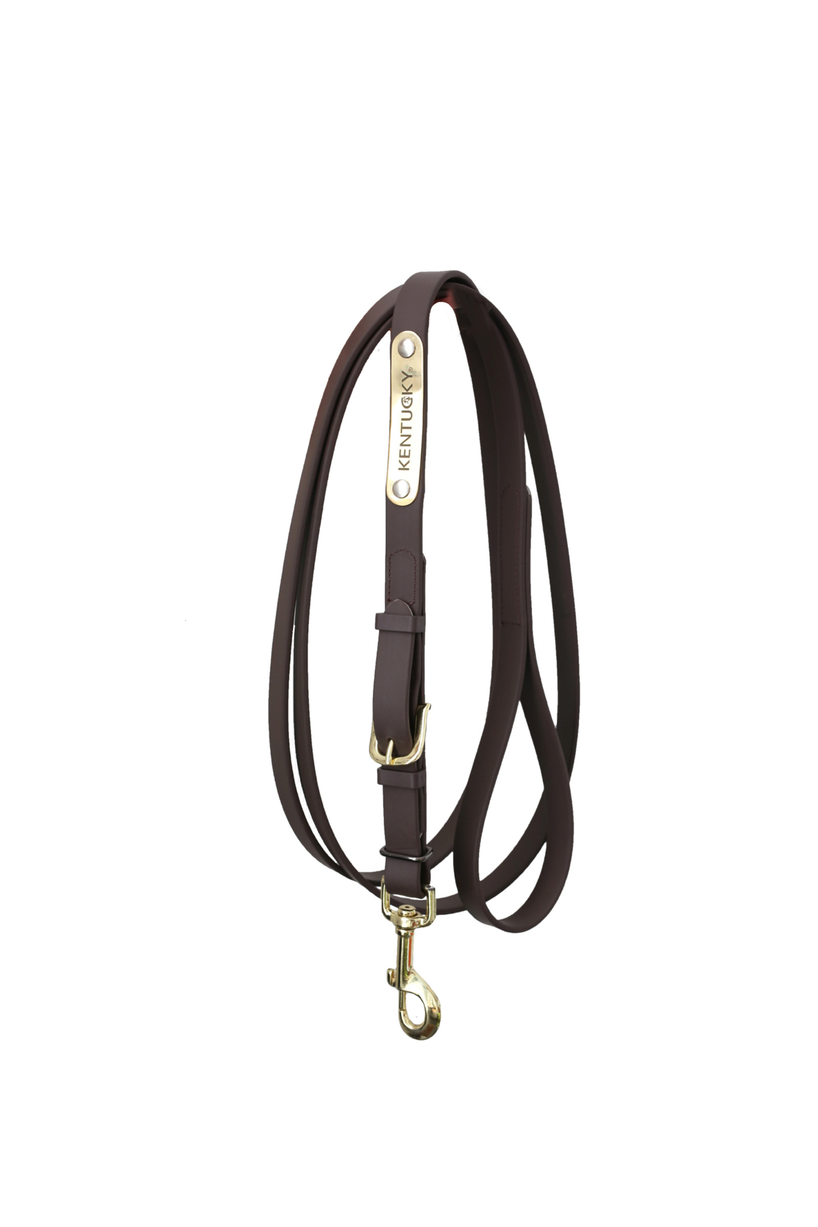 Brown Kentucky Horsewear Presentation Lead