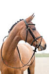 Horze Constance Padded Flash Bridle