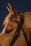 Dy'on D Collection Anatomical Bridle With Flash Noseband 