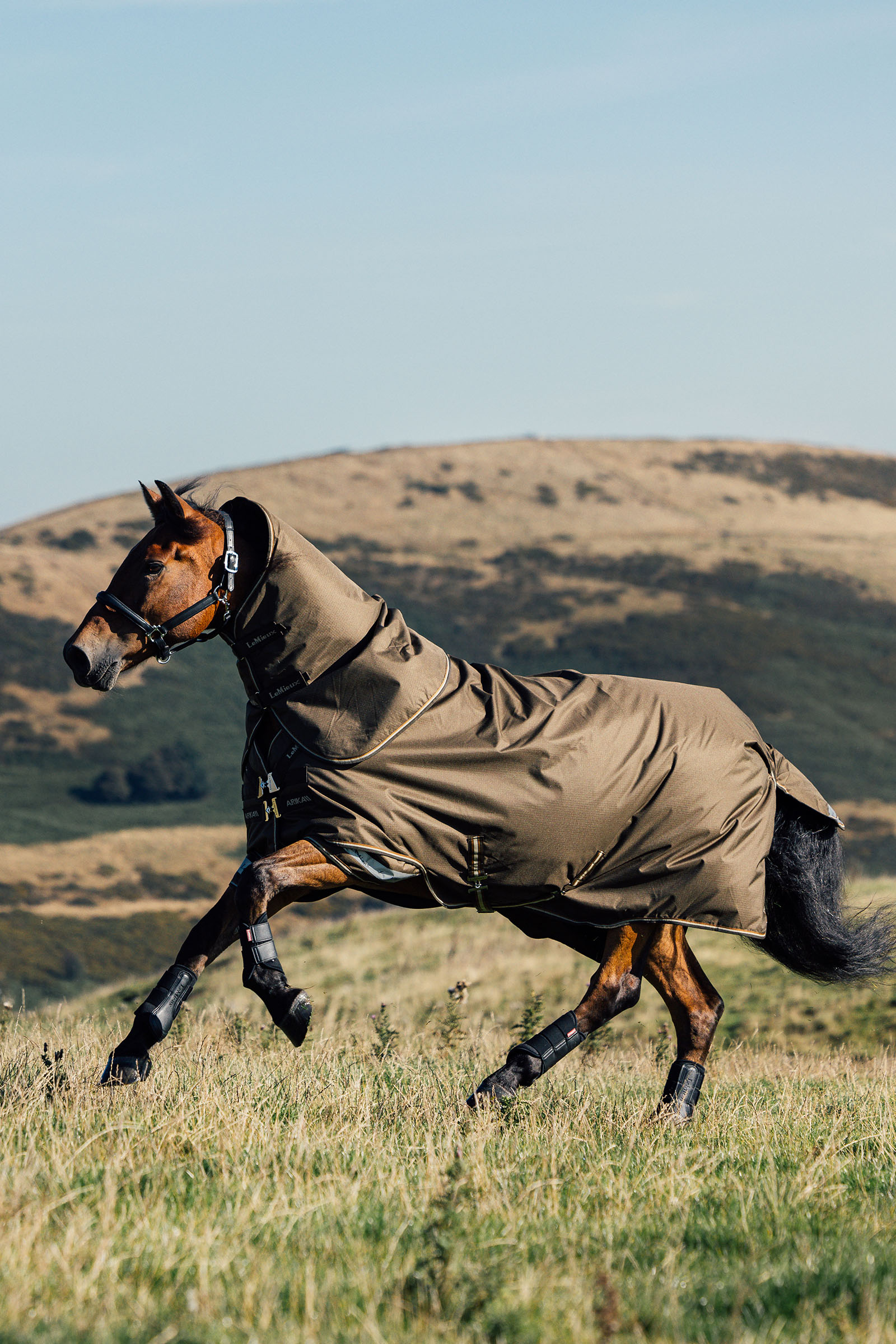 LeMieux Arika Ripstop Turnout Rug 50g