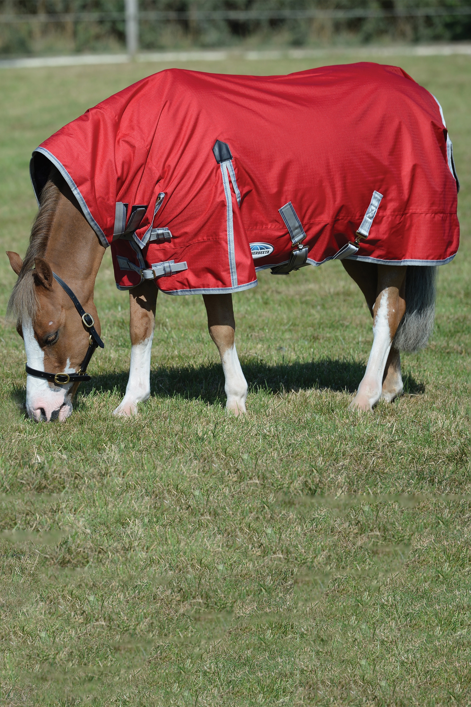 Weatherbeeta Comfitec Classic Combo Neck Lite Plus