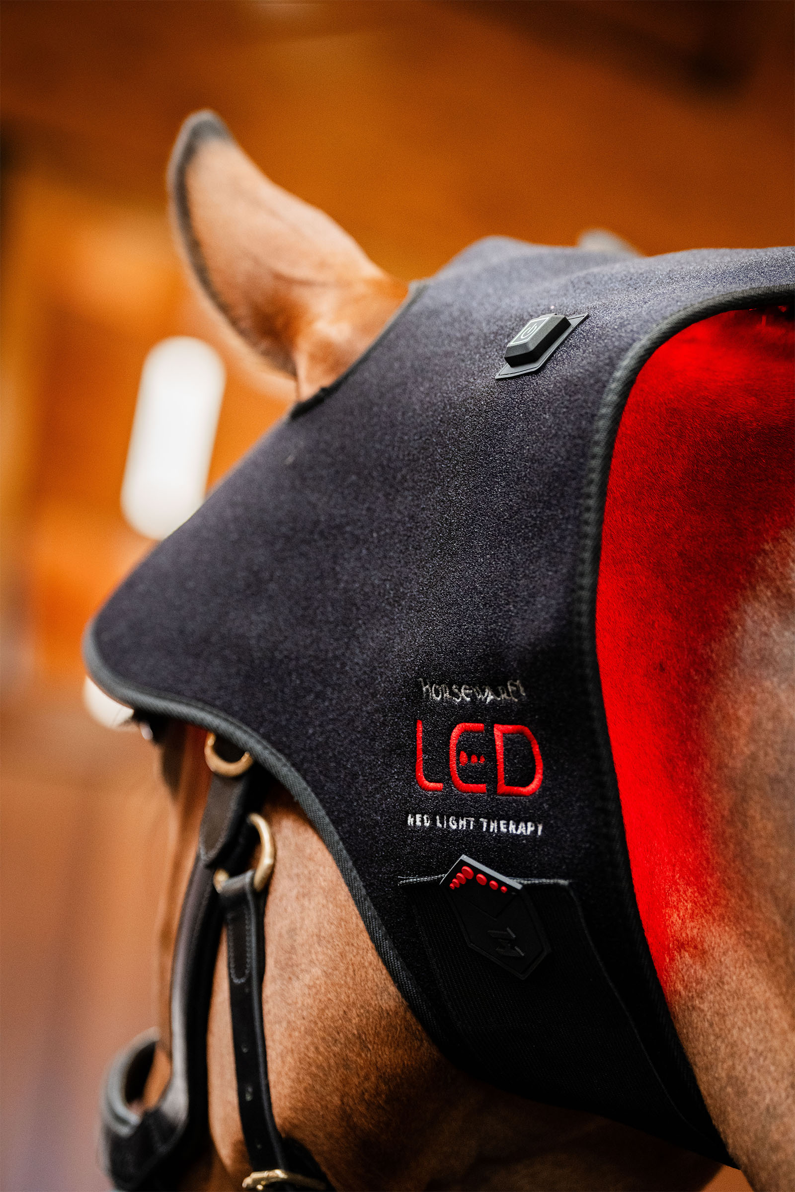 Horseware LED Red Light Therapy Poll Cap