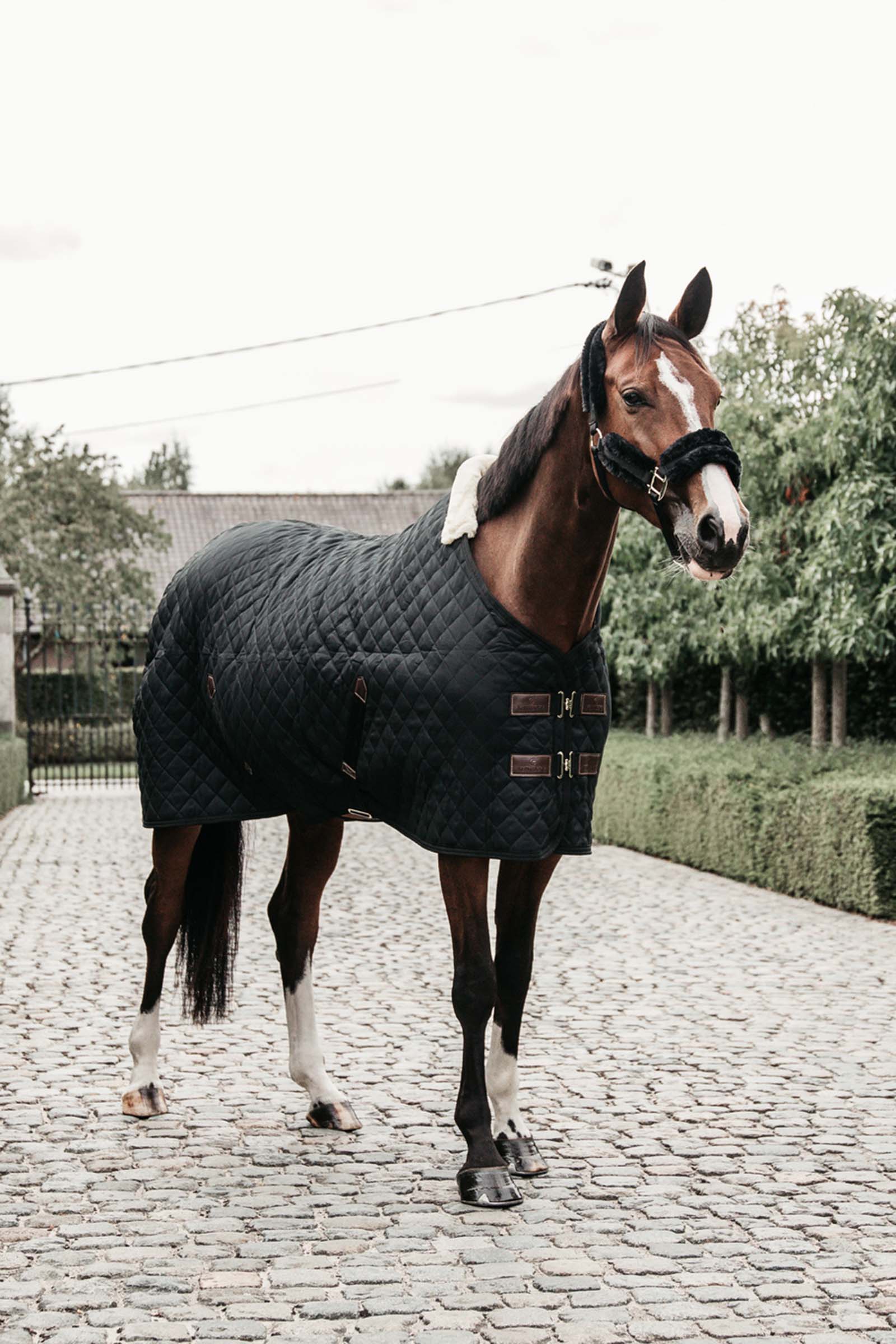 Kentucky Horsewear Stable Rug, 400g