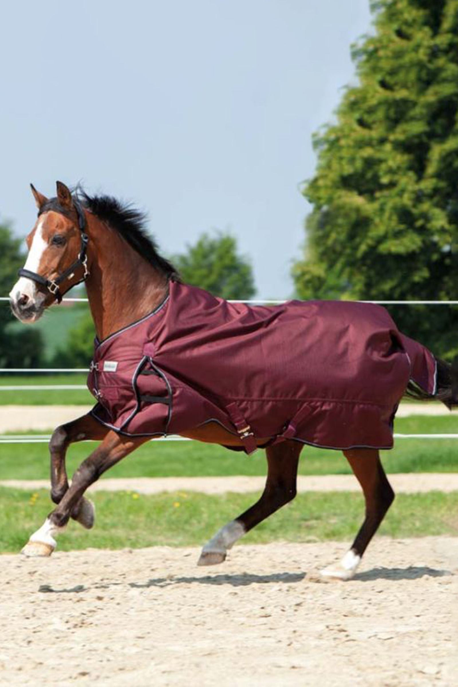 Kavalkade Alaska IV Turnout Rug, 100 g