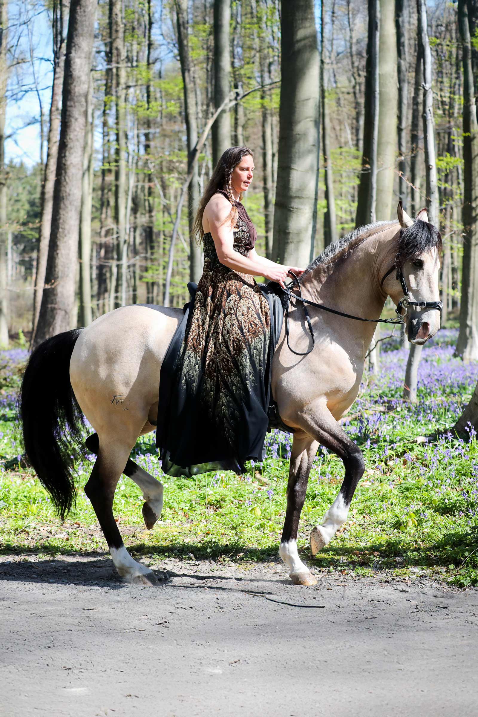 F.R.A. Freedom Riding Articles Imperial Hackamore Bridle With Reins (System 2)