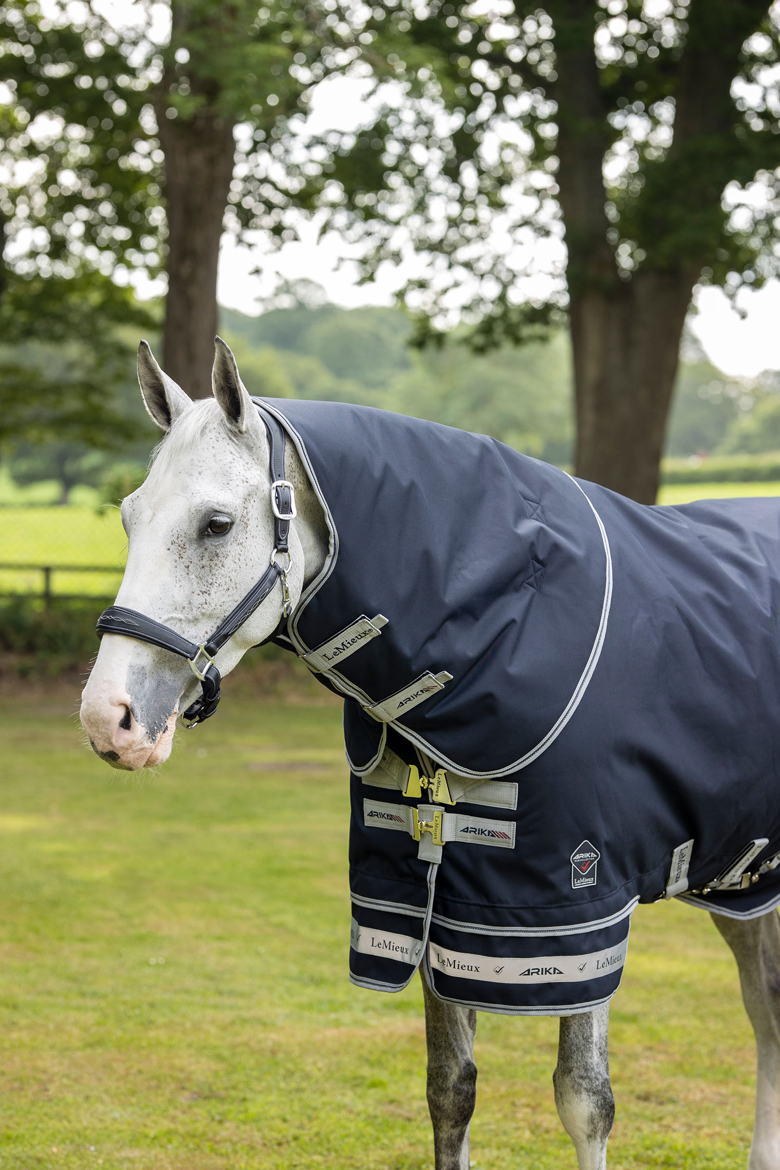 LeMieux Arika Featherweight Rug 0g