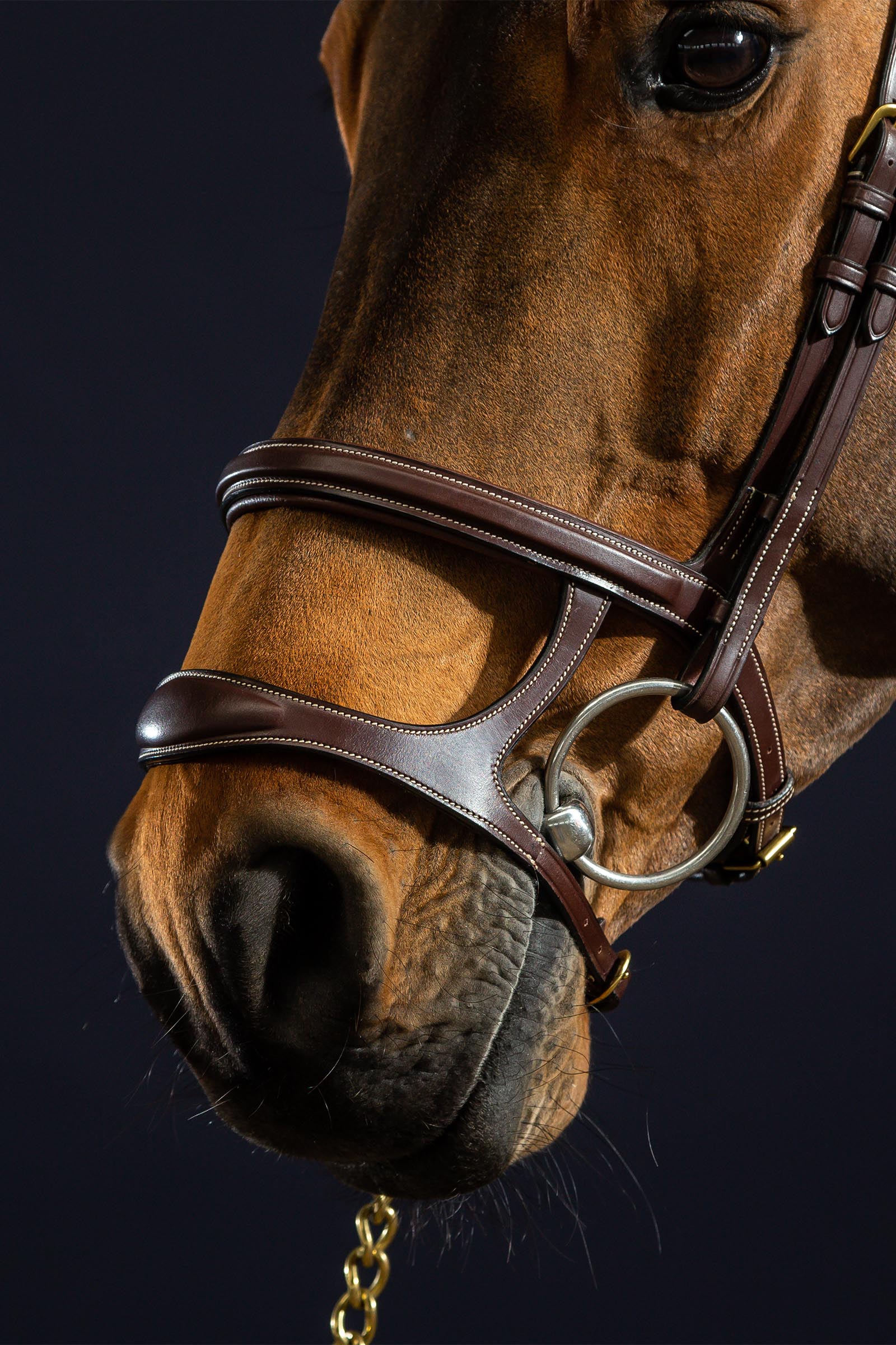 Dy'on D Collection Double Noseband Bridle 
