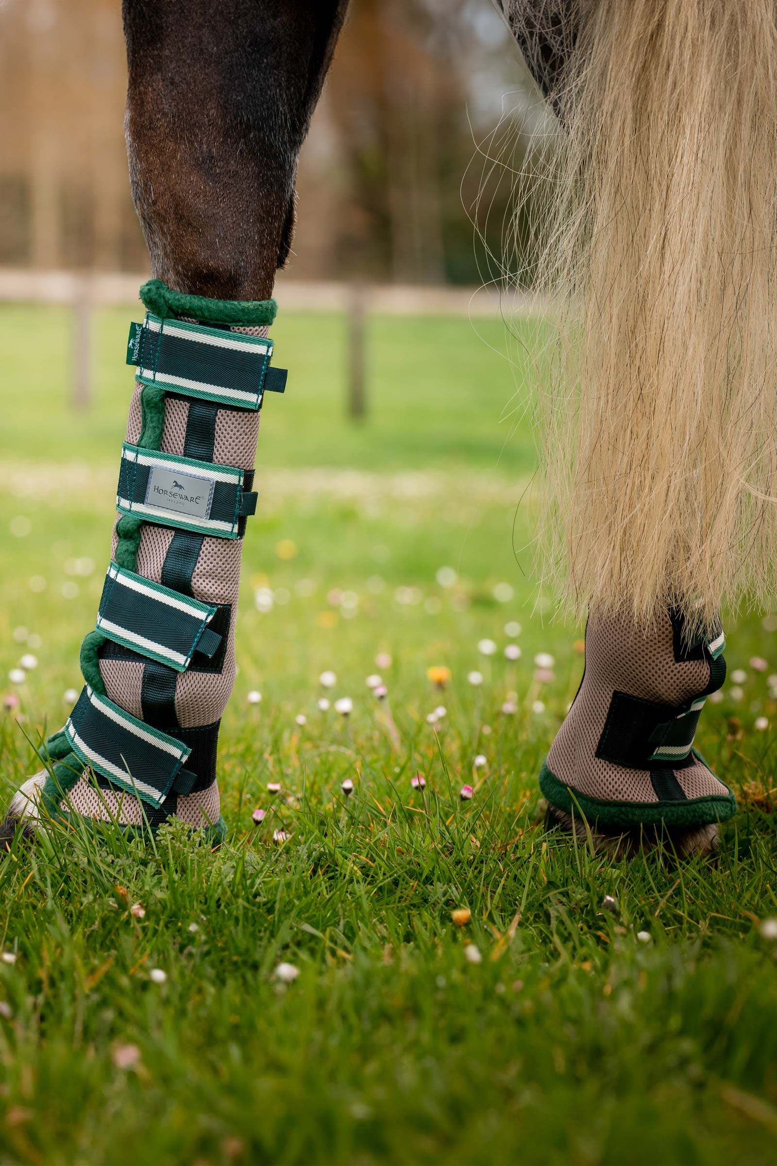 Horseware Fly Boots