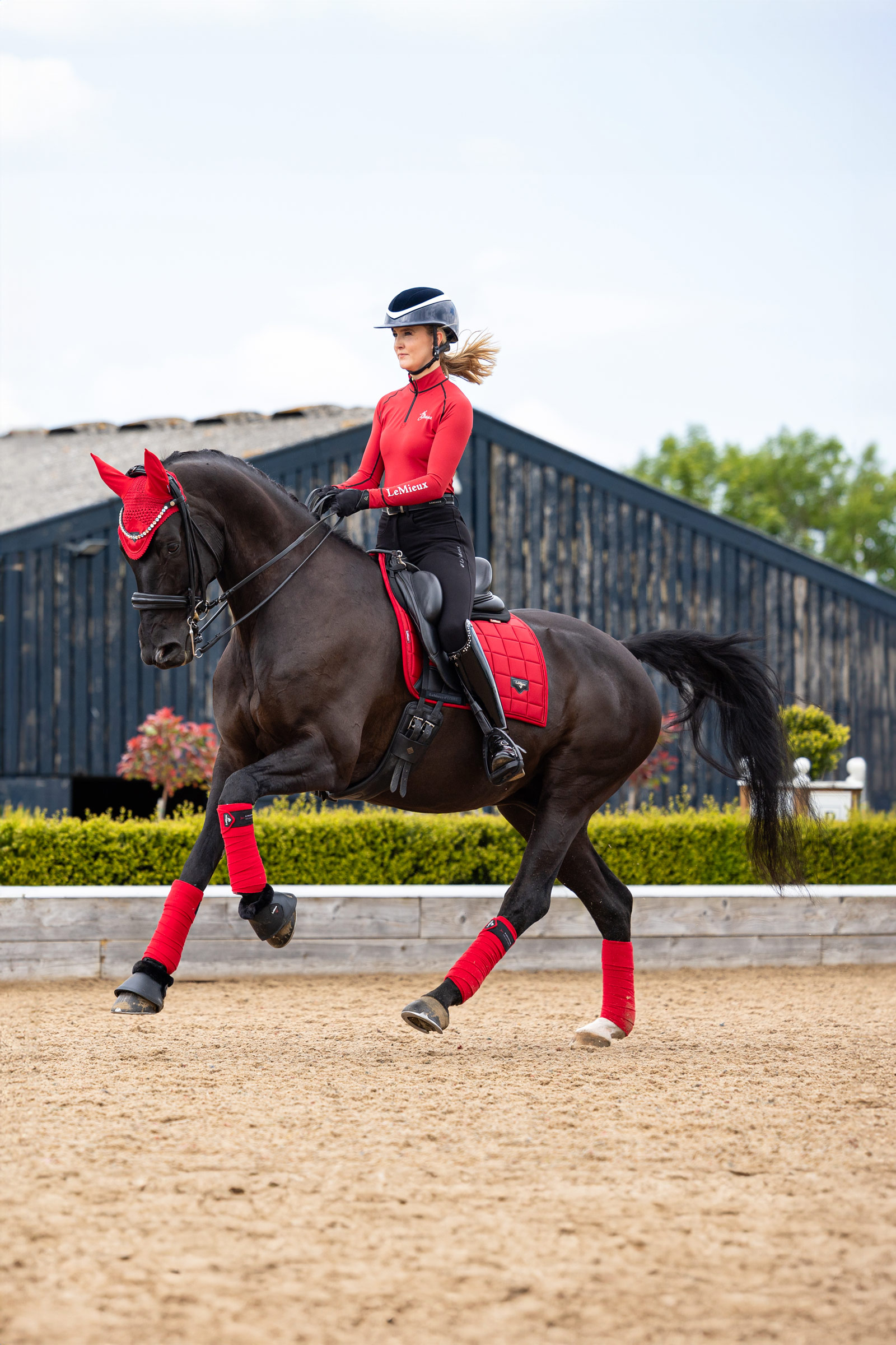 LeMieux Loire Classic Square Dressage Saddle Pad