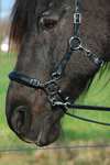 F.R.A. Freedom Riding Articles Calli Hackamore Bridle With Reins (System 2)
