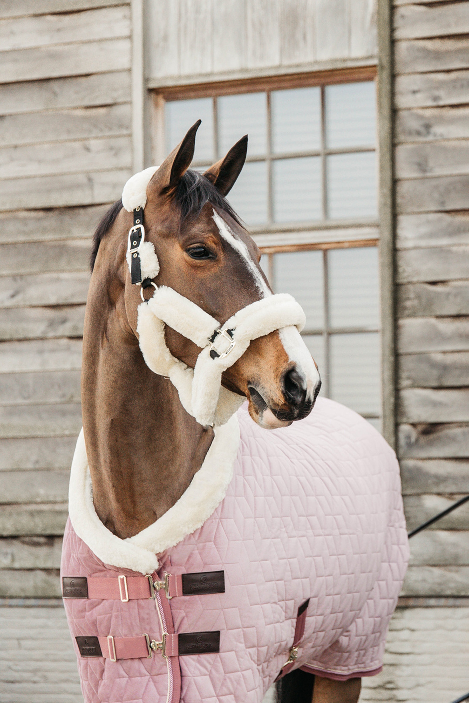 Kentucky Horsewear Velvet Show Rug, 160g