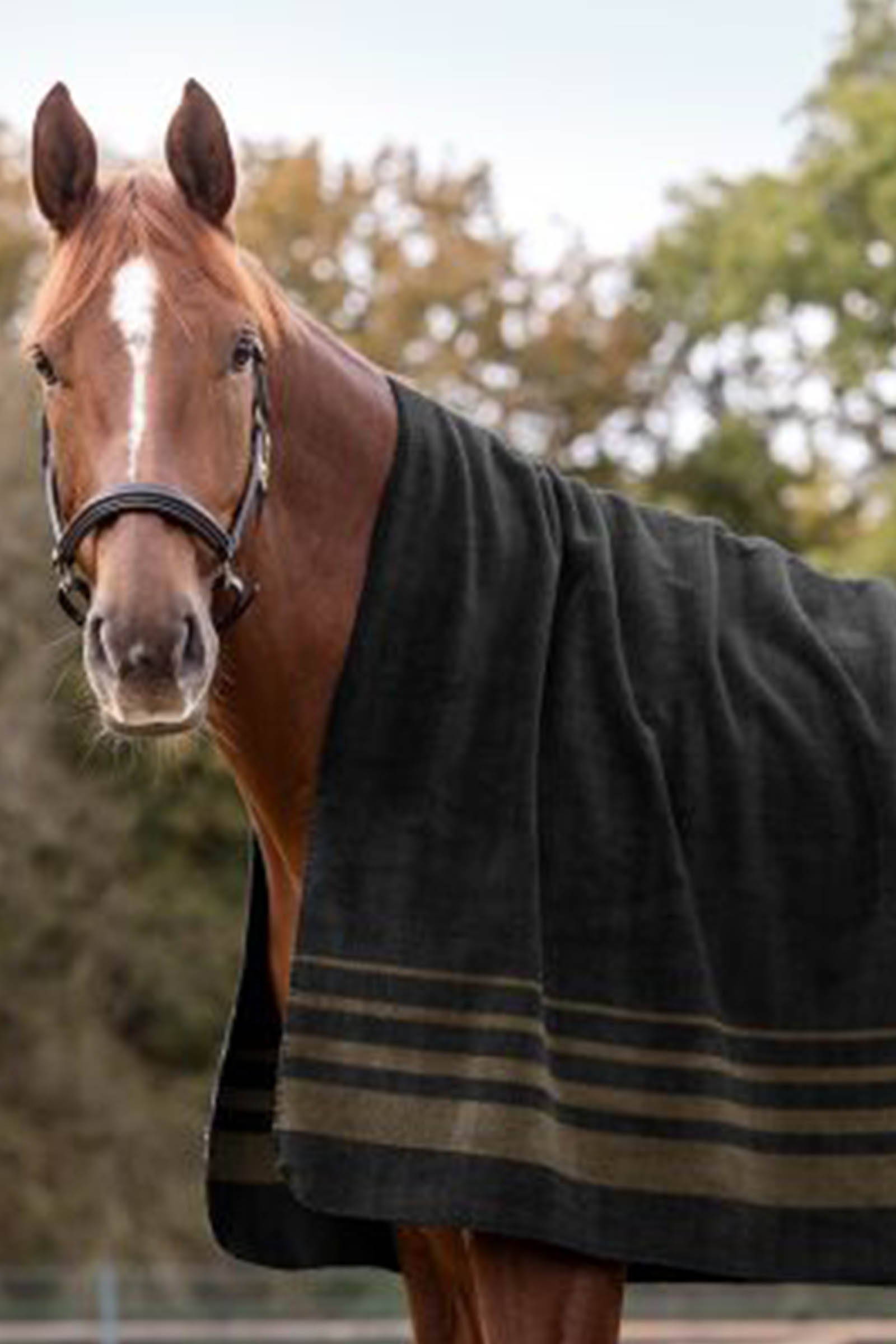 Waldhausen S&ouml;lden Fleece Rug