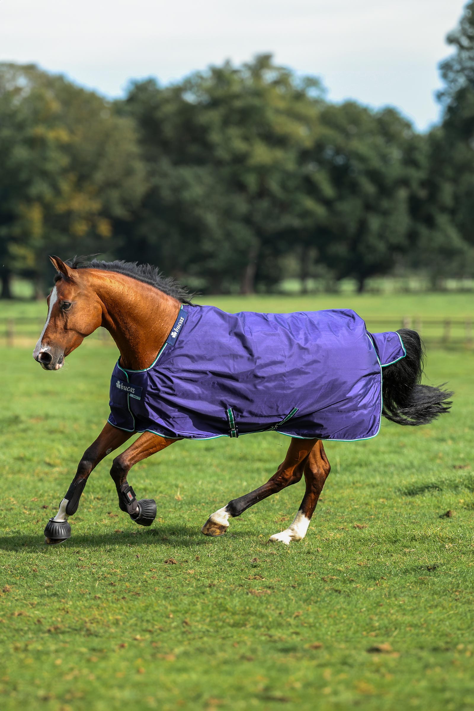Bucas Smartex Rain Turnout Rug, 0g