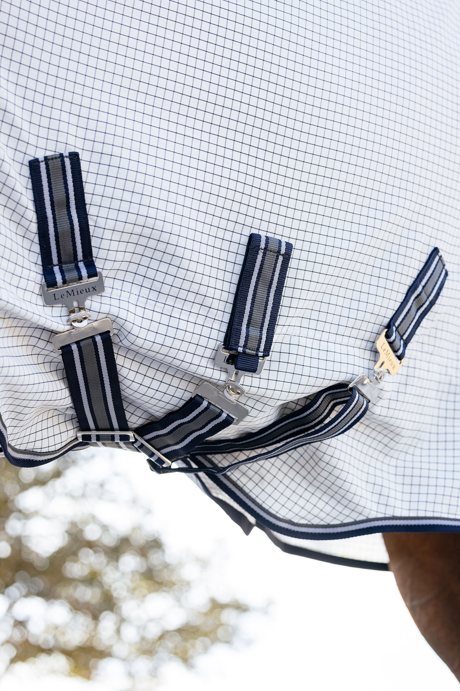 LeMieux Arika 450D Turnout Rug With Detachable Neck, 0g