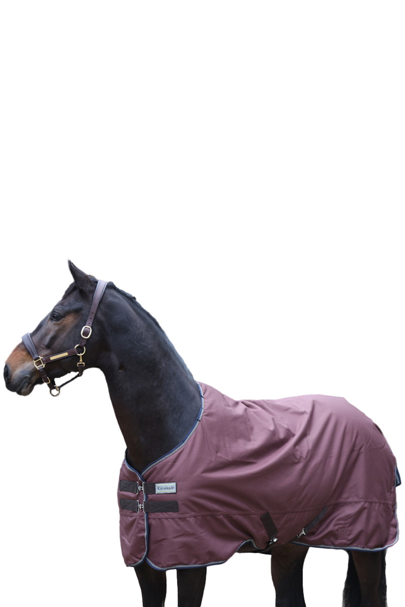 Brown Kavalkade Montreal Turnout Rug, 0g