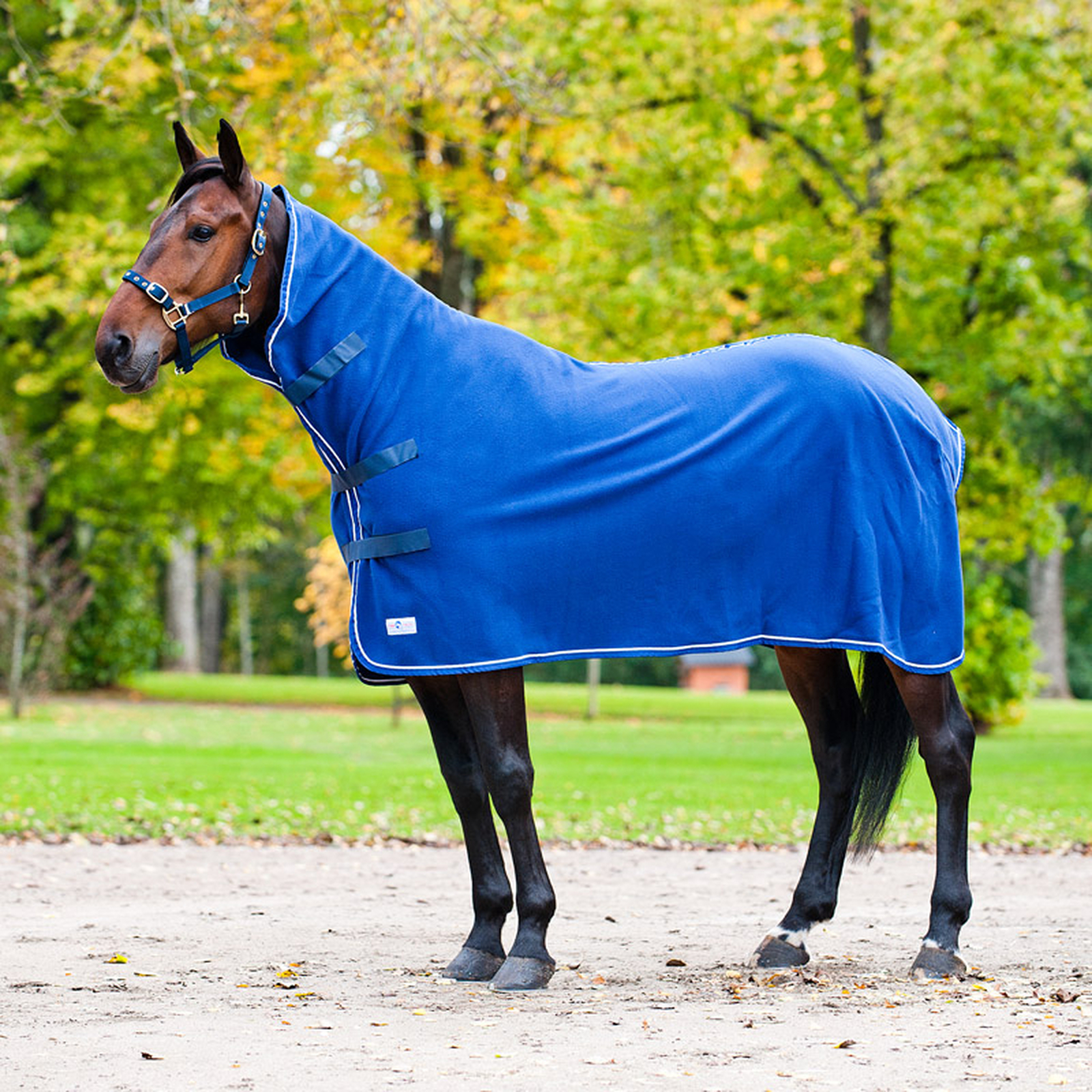 Finntack Pro High Neck Cooler Rug