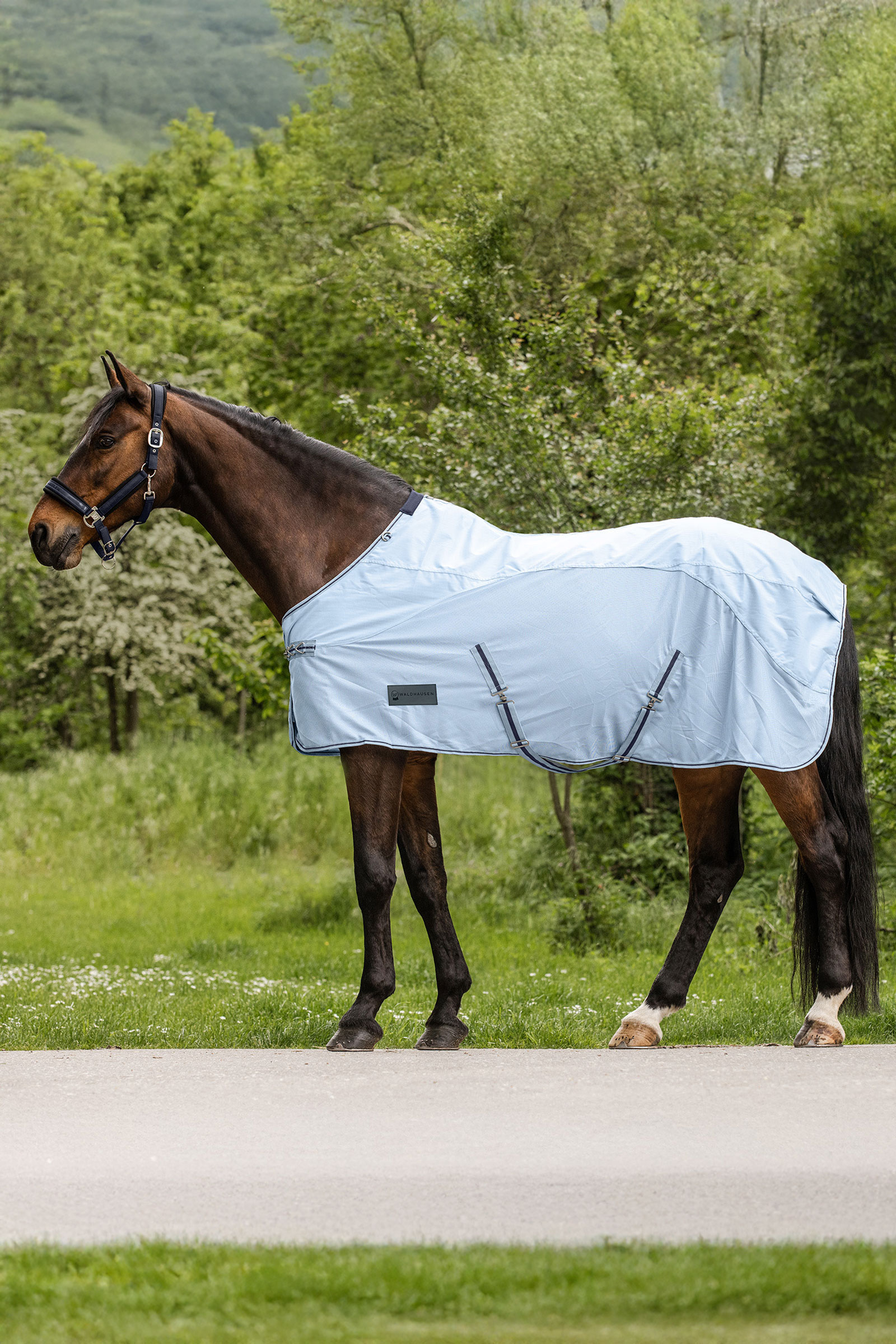 Light Blue/Night Blue Waldhausen Protect Rain Fly Rug