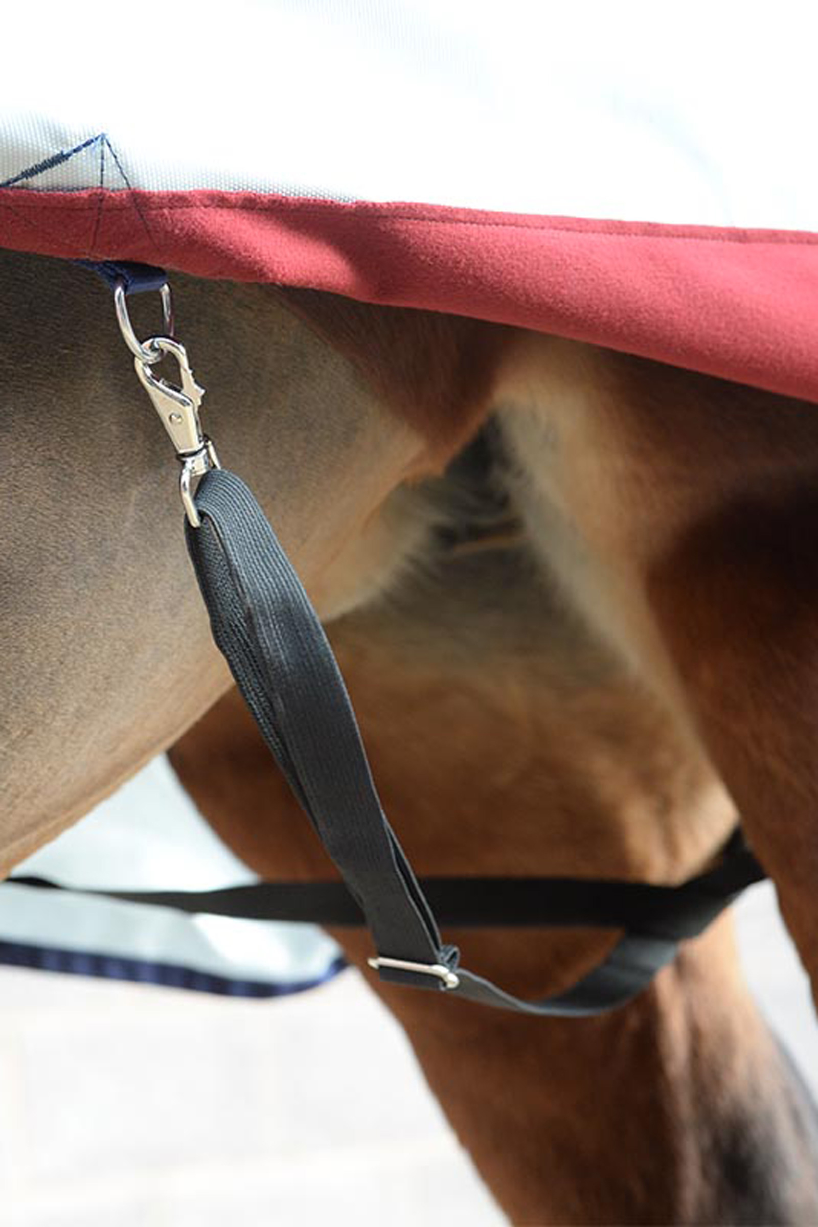 Bucas DeLuxe Elastic Leg Straps 