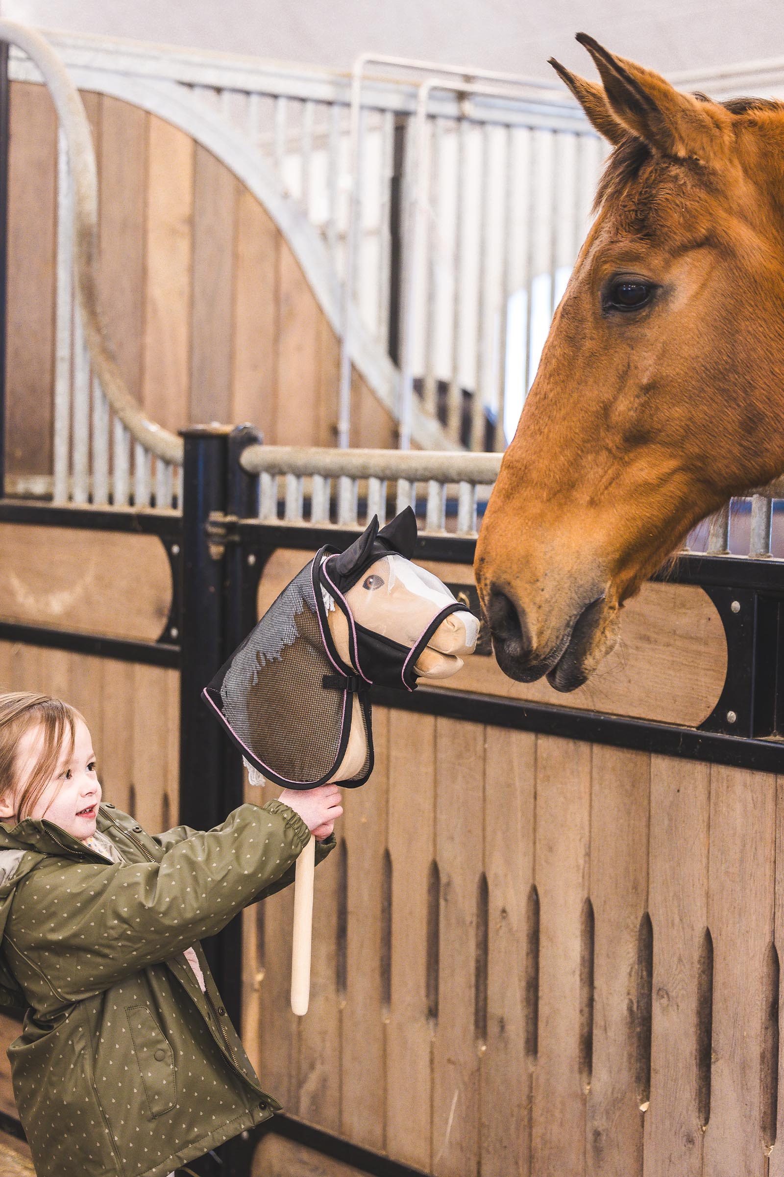 My Hobby Horse Insect Fly Rug