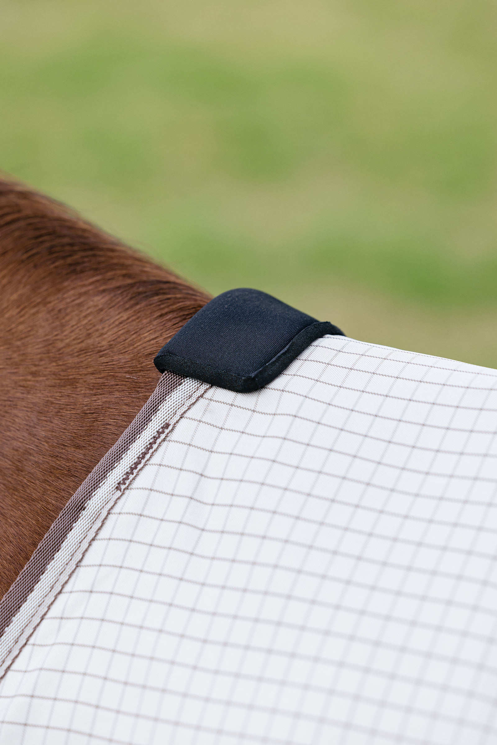 LeMieux Arika 450D Sunstopper Rug With Detachable Neck, 0g