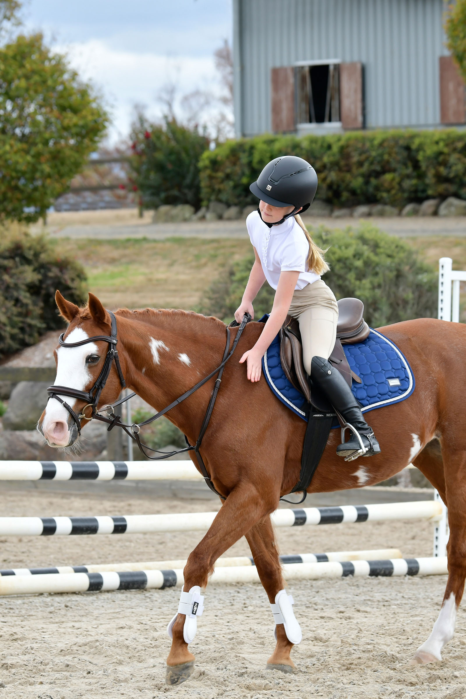 Collegiate Comfitec Opulux Plain Padded Hanoverian Flash Bridle