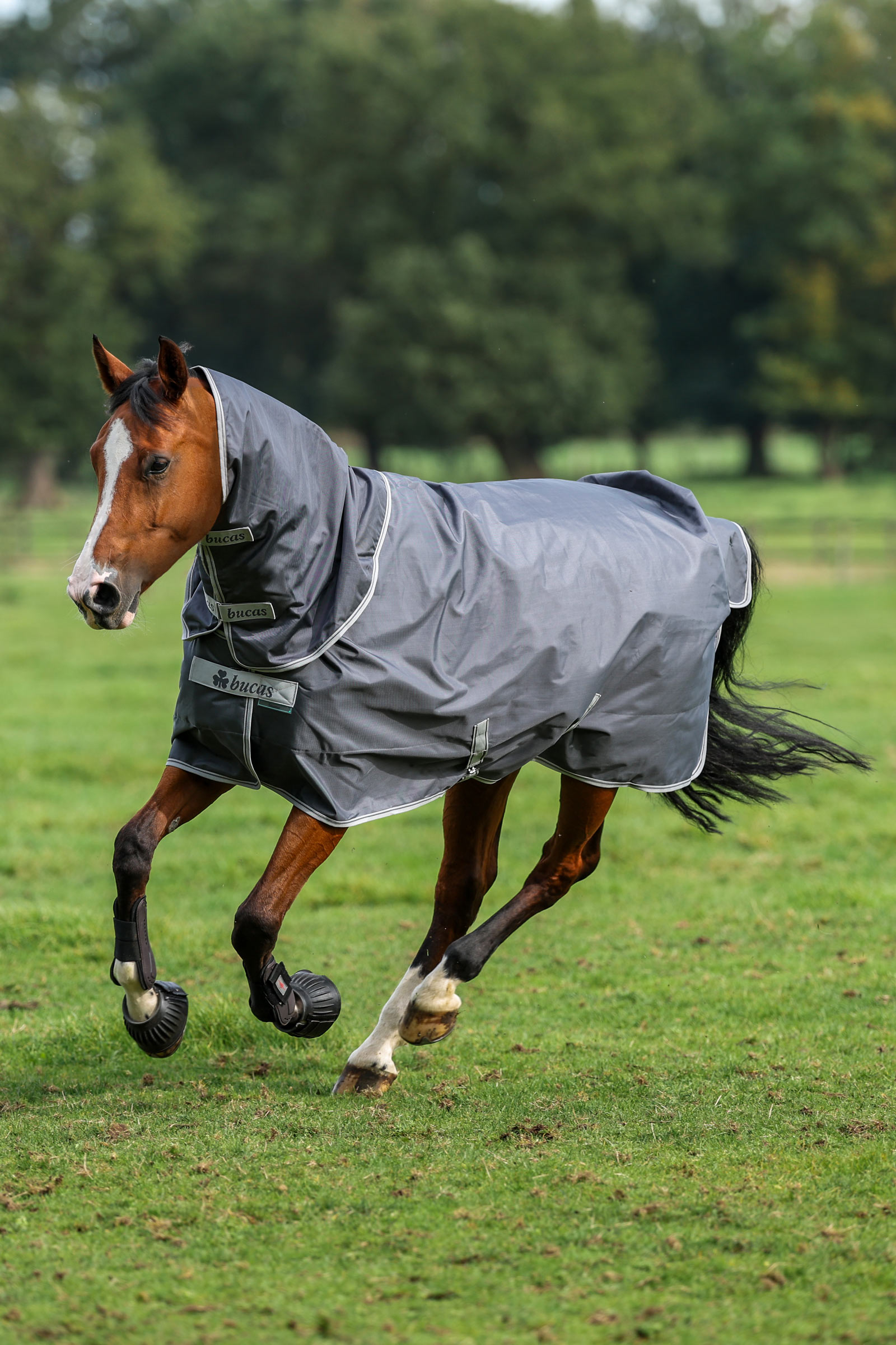 Bucas Smartex Rain Turnout Rug, 0g