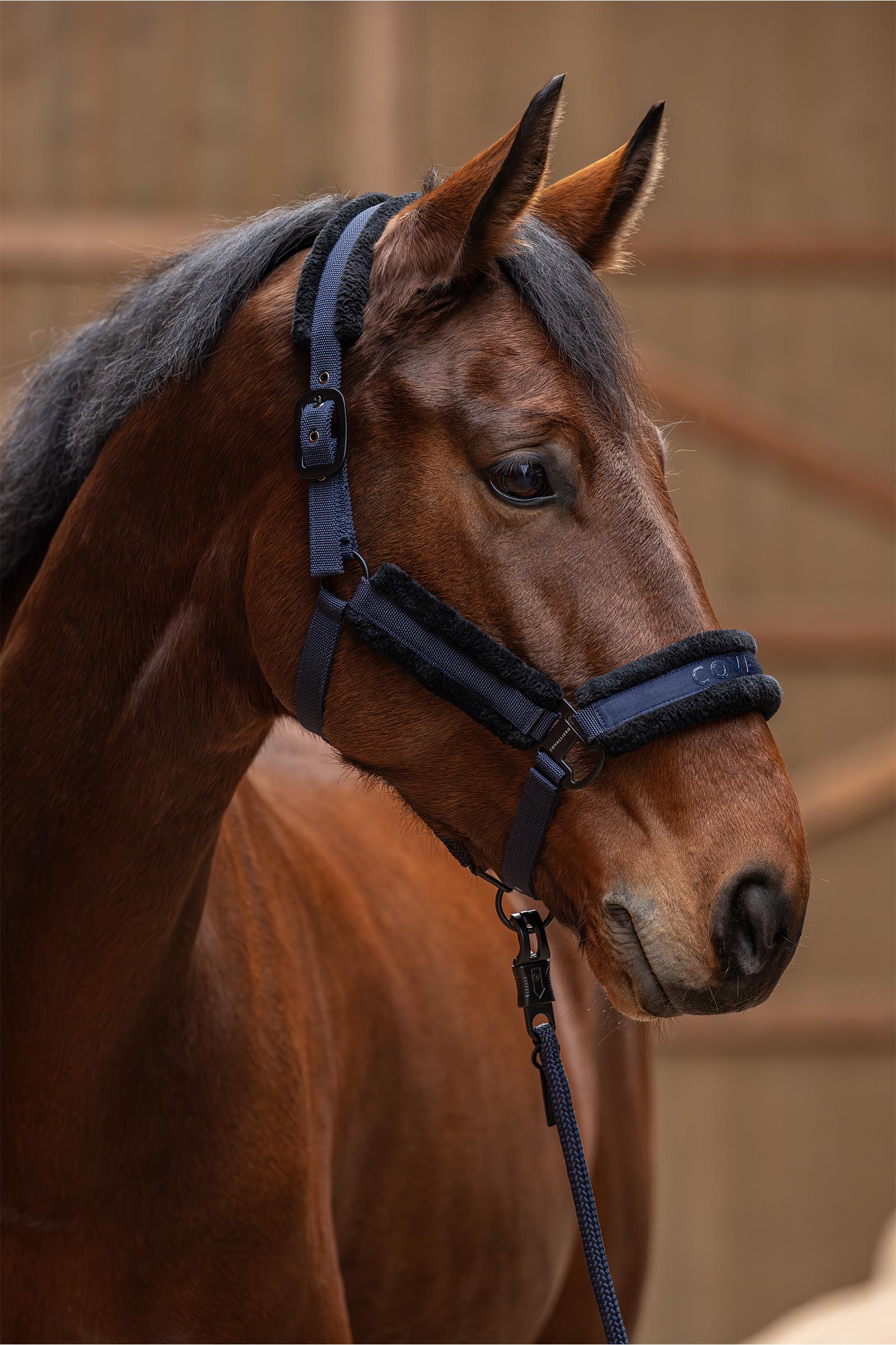 Covalliero Padded Halter